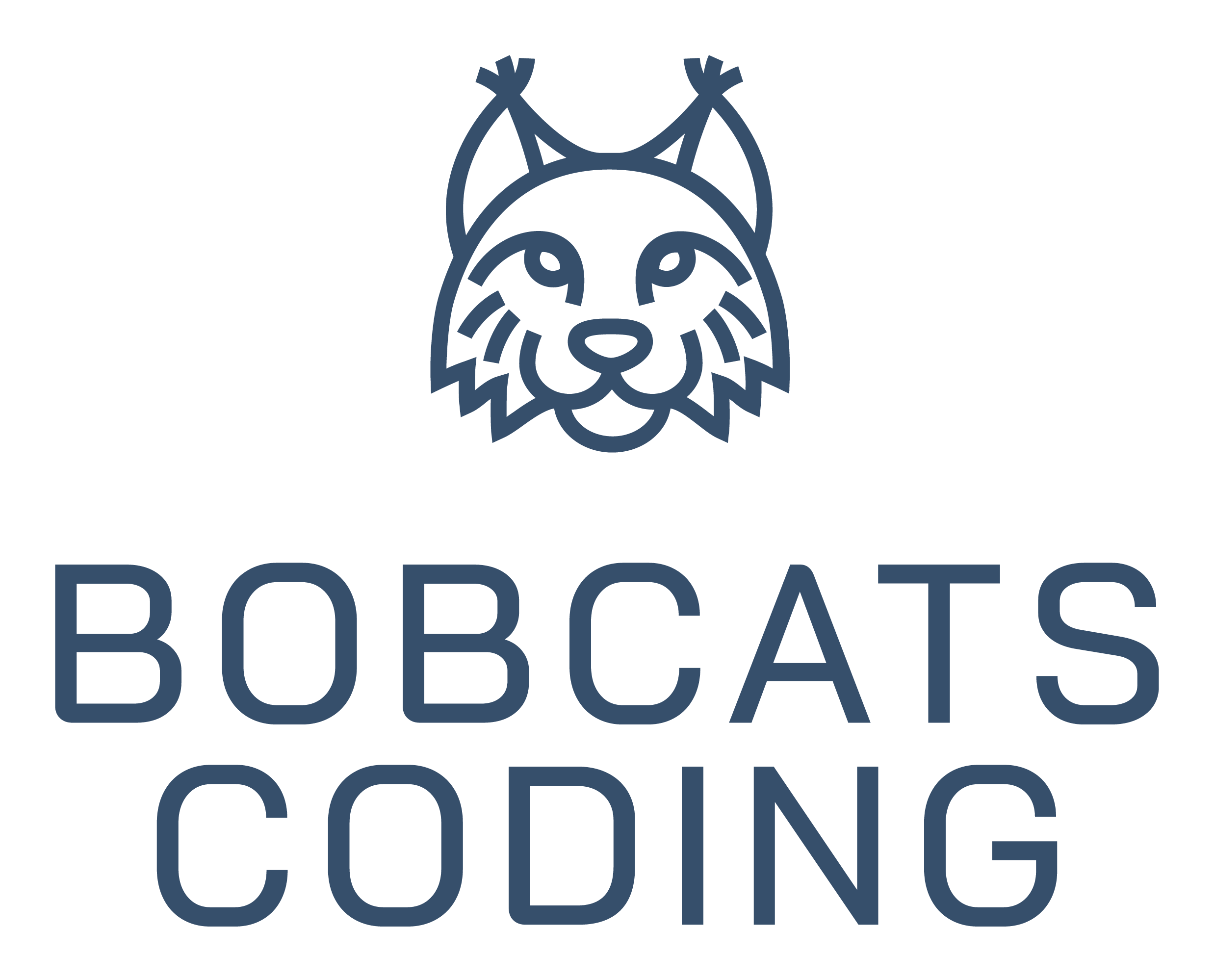 Bobcats Coding referenciánk