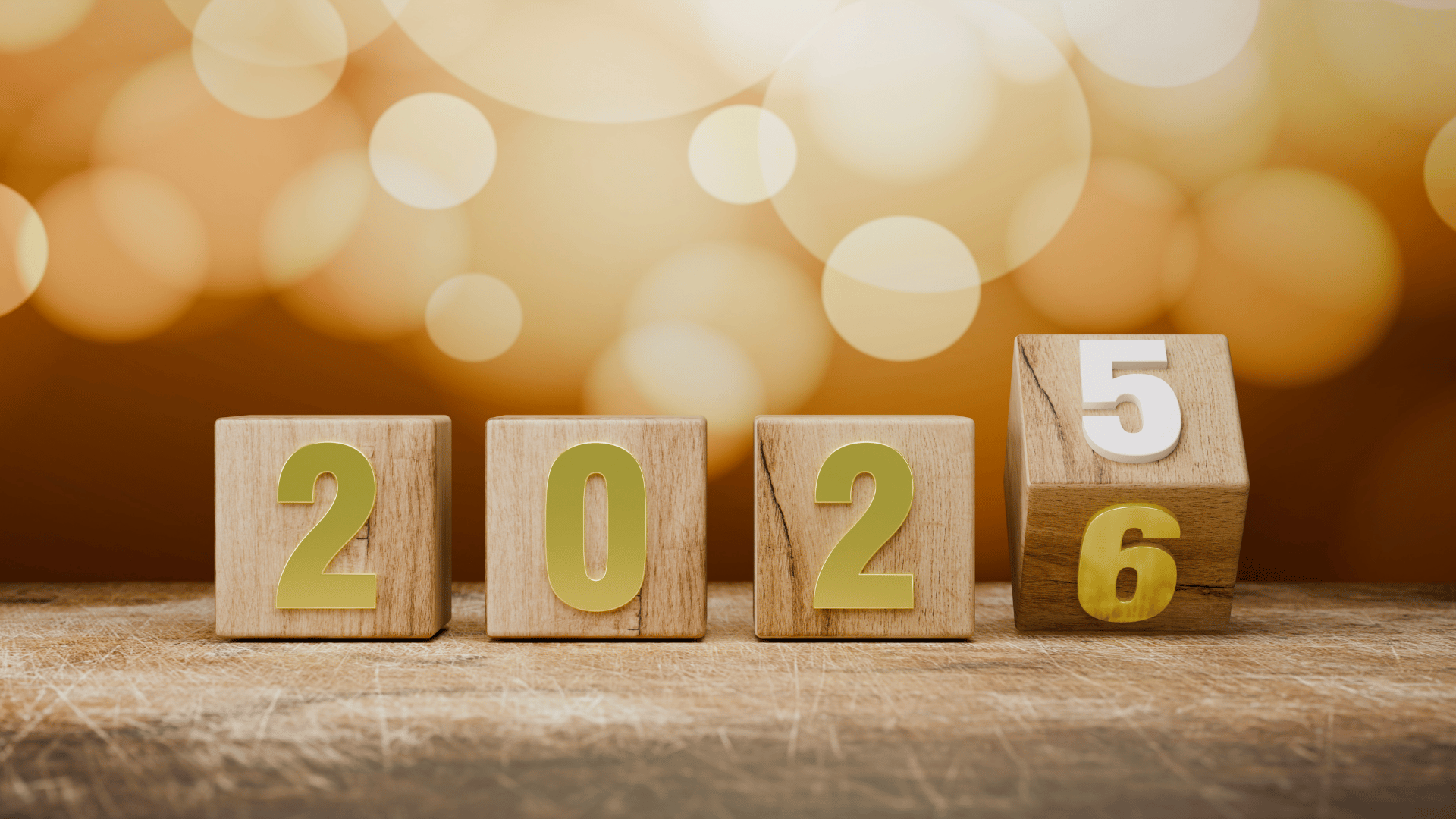 2025-ös sikereink: így építettünk idén márkákat, céget, közösséget