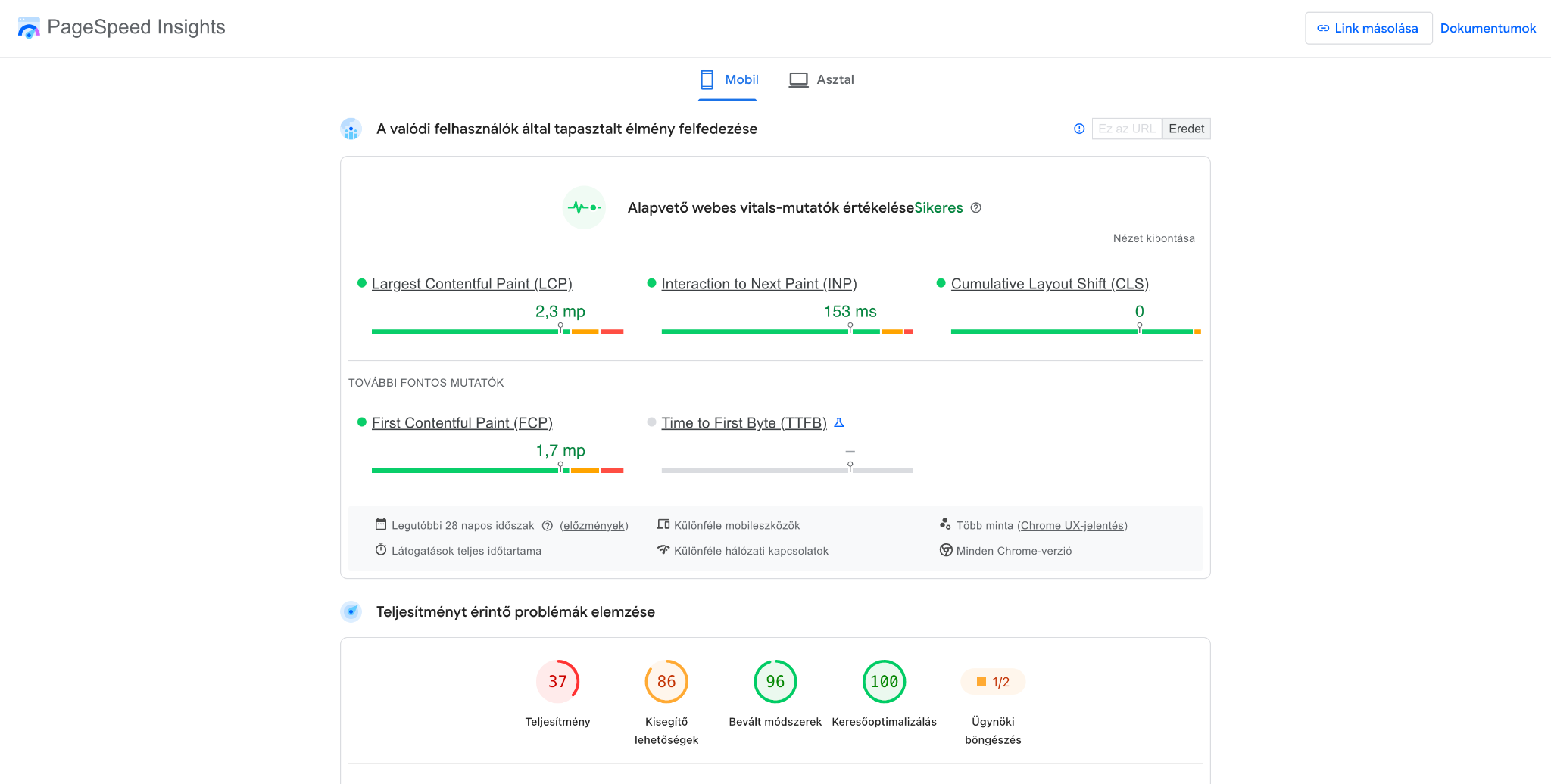 Google PageSpeed Insights performance analysis and Core Web Vitals metrics