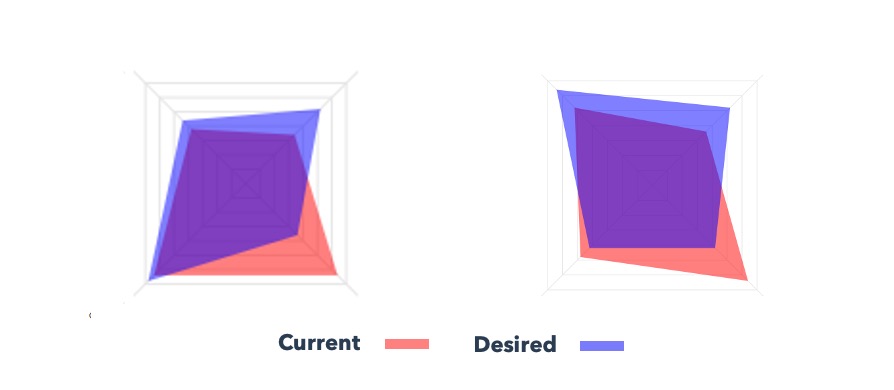 Cultural Leadership Preferences