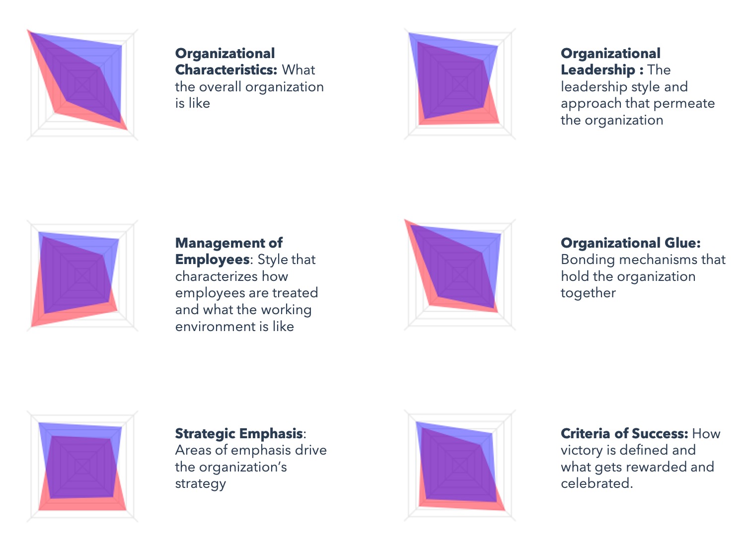 Six Dimensions to Measure Organizational Culture