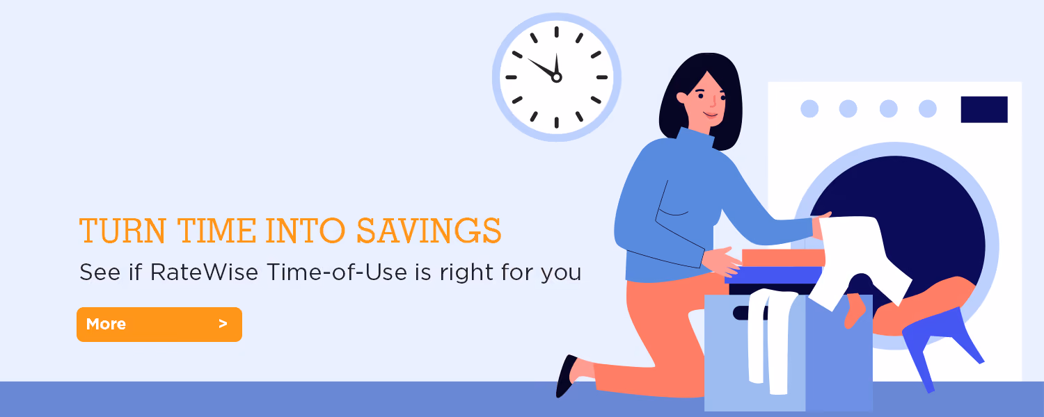 Turn Time Into Savings. See if RateWise Time-of-Use is right for you.