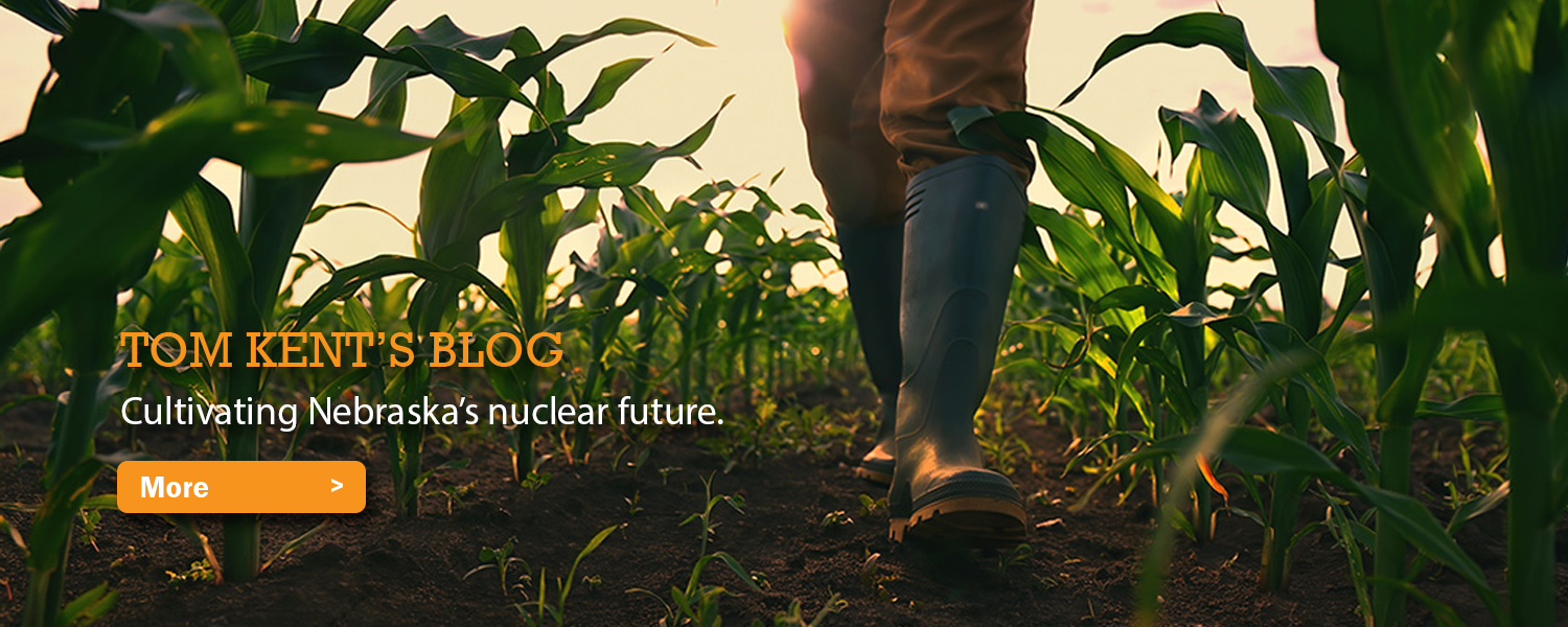 Person wearing boots walking through a corn field.