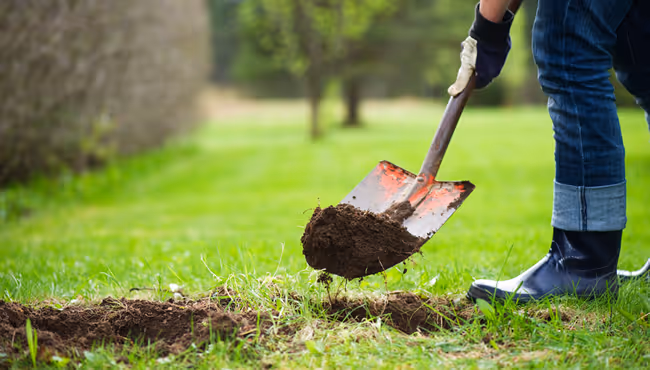 Call Before You Dig