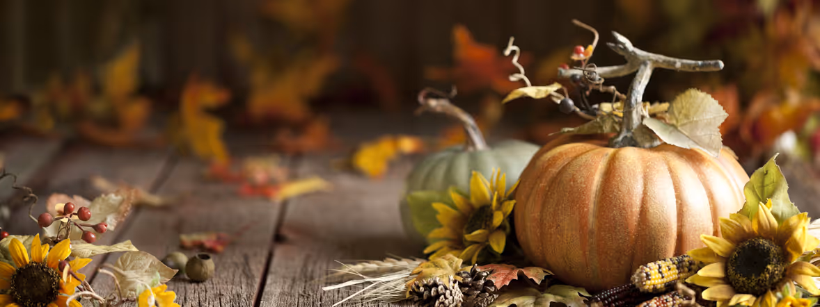 An attitude of gratitude