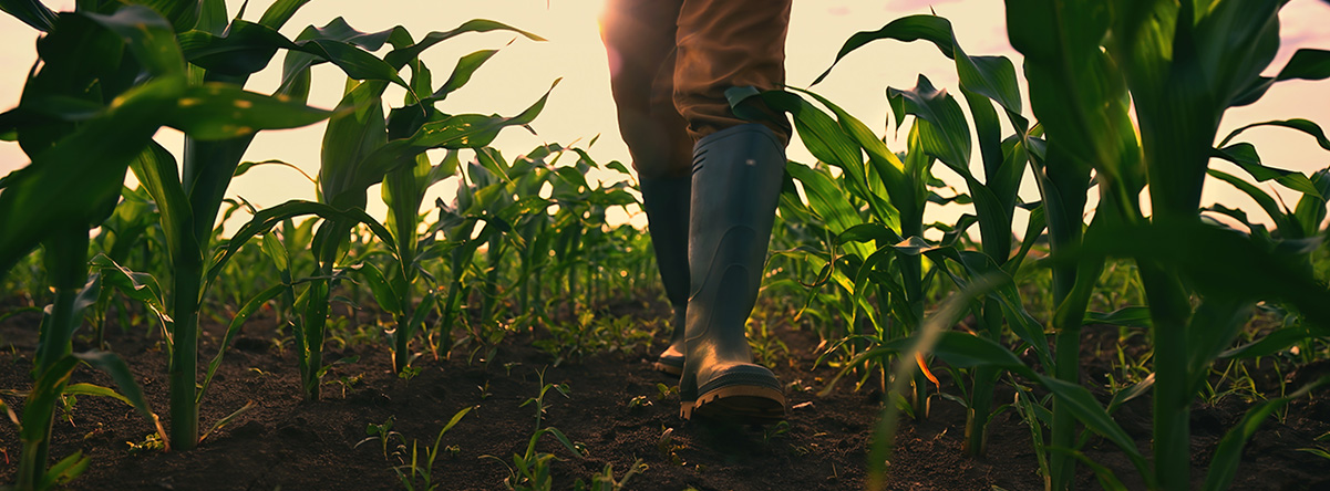 Cultivating Nebraska’s nuclear future
