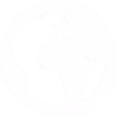 white icon of the world