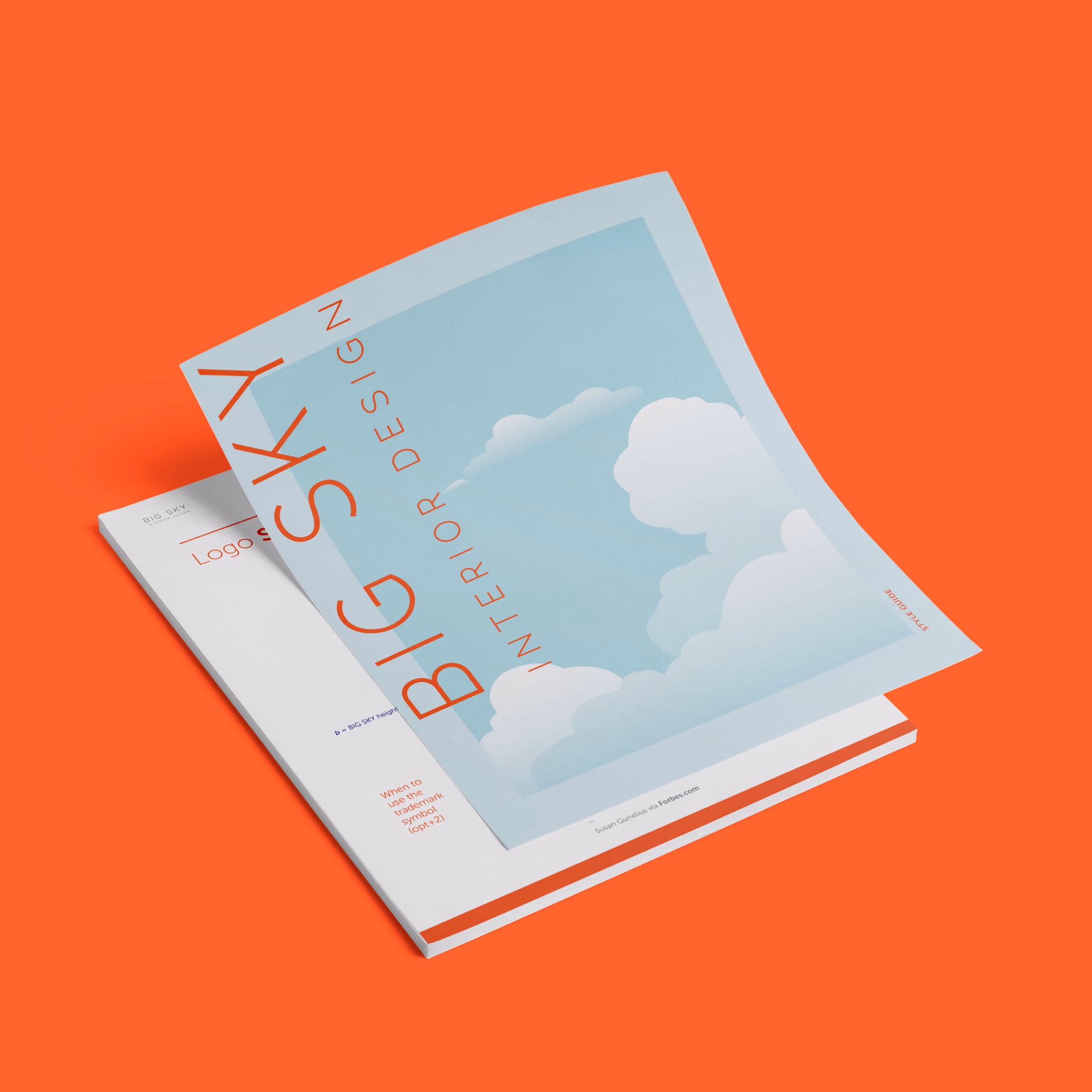 Logo and Brand Design for Big Sky Design by Brand Engine