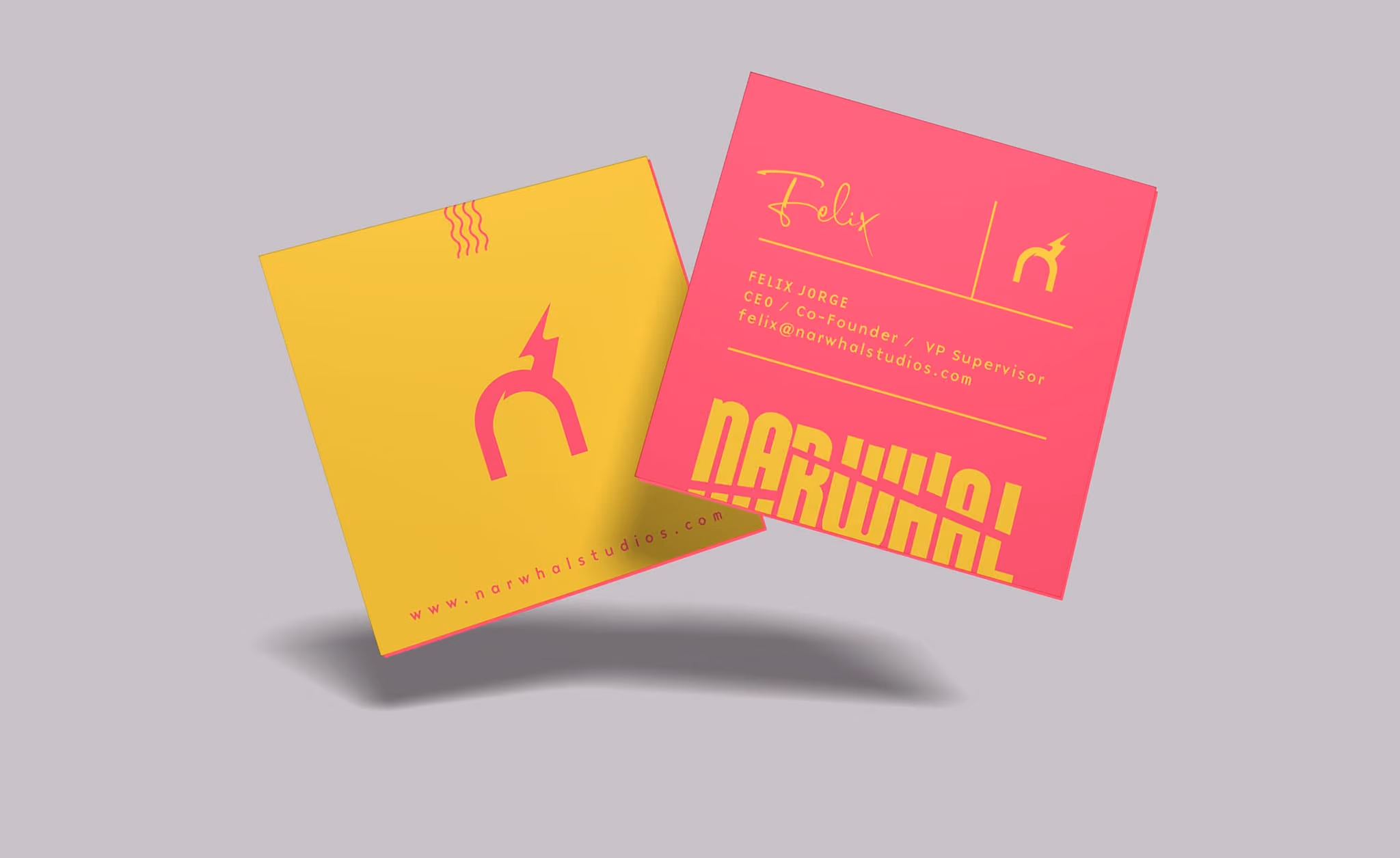 Narwhal Studios VFX Print Collateral design