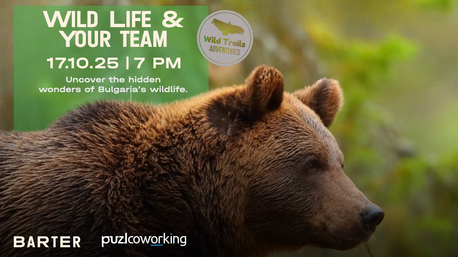 Wild Life & Your Team | Wild Trails Adventure @Barter Community Hub