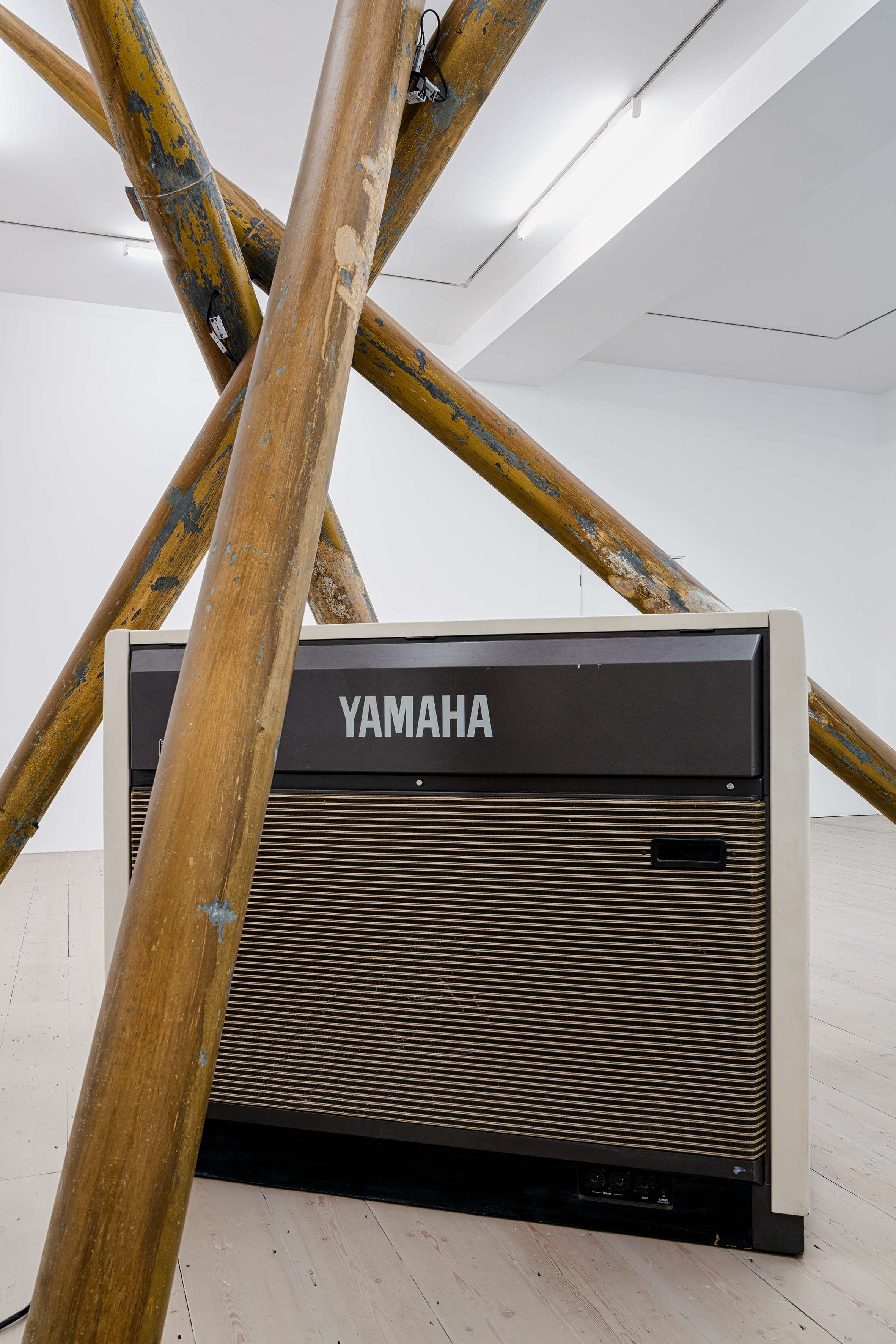 Lutz Bacher, Yamaha, 2010, Close up, Astrup Fearnley Collection, Oslo 