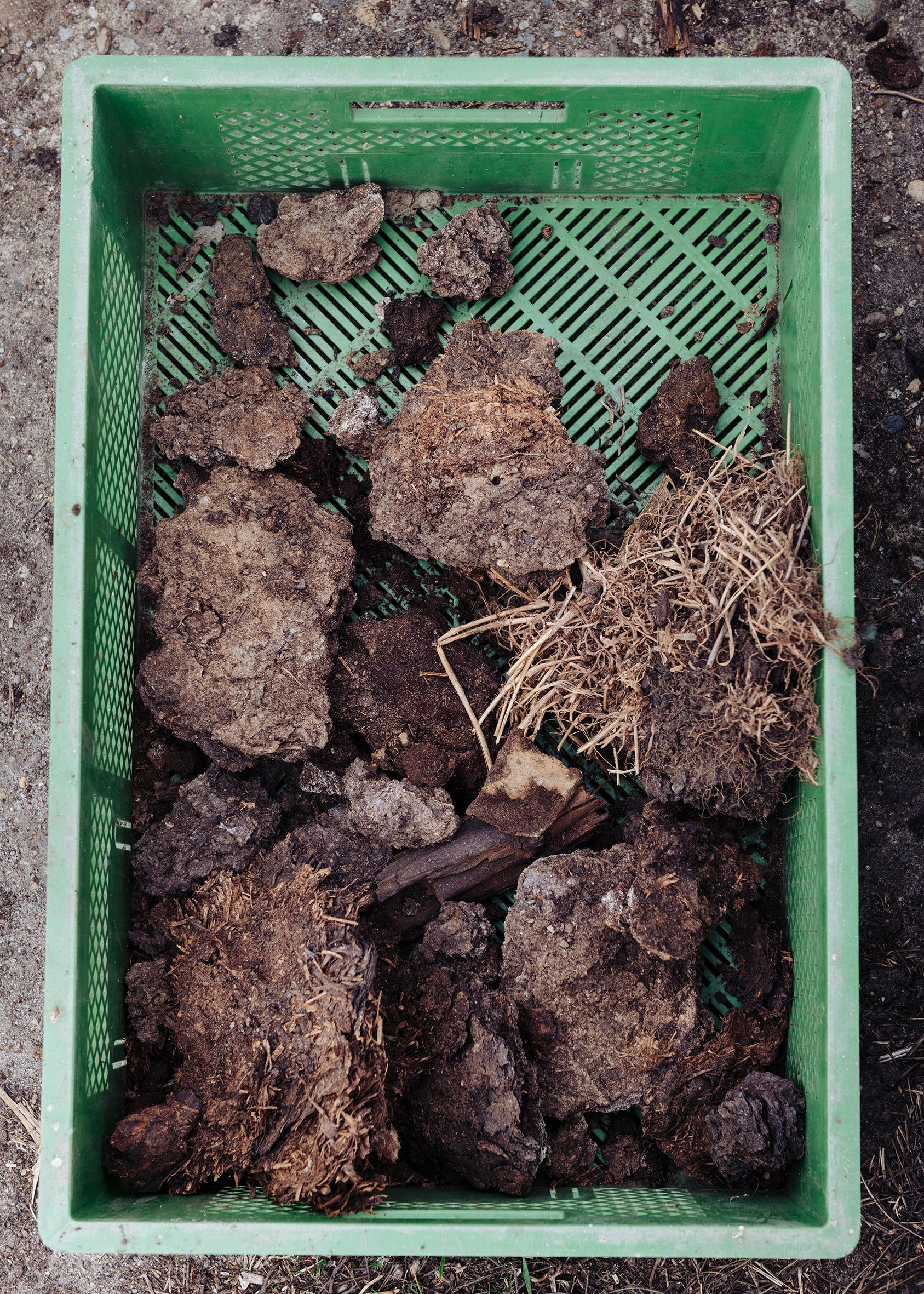 Jonas Fischer, Vollkorn oder Tod, 2025, © Jonas Fischer, Stiftung Schloss Neuhardenberg