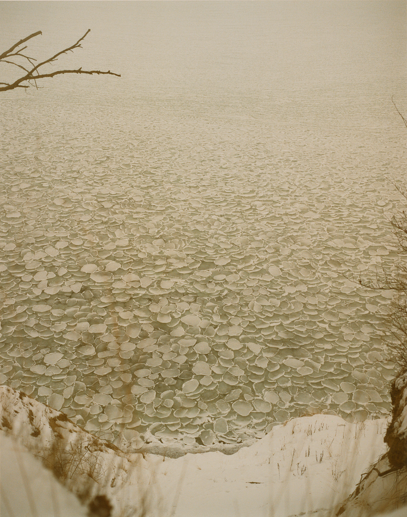 Arno Schidlowski, Jasmund #10, 2005-2011, 30,5 x 24 cm C-Print (Handabzug vom Künstler), © Arno Schidlowski | courtesy JO VAN DE LOO