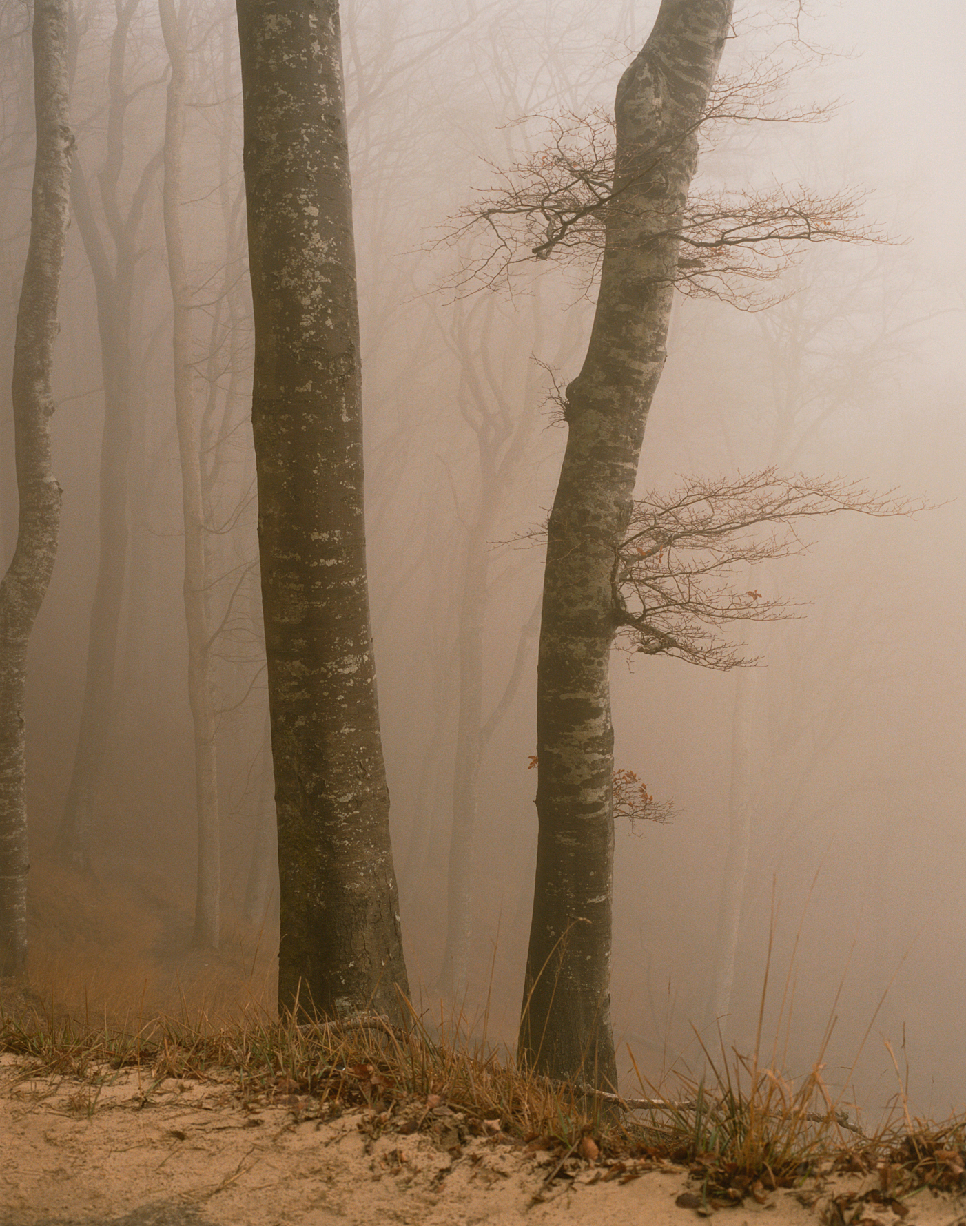 Arno Schidlowski, Jasmund #29, 2005-2011, 30,5 x 24 cm C-Print (Handabzug vom Künstler), © Arno Schidlowski | courtesy JO VAN DE LOO