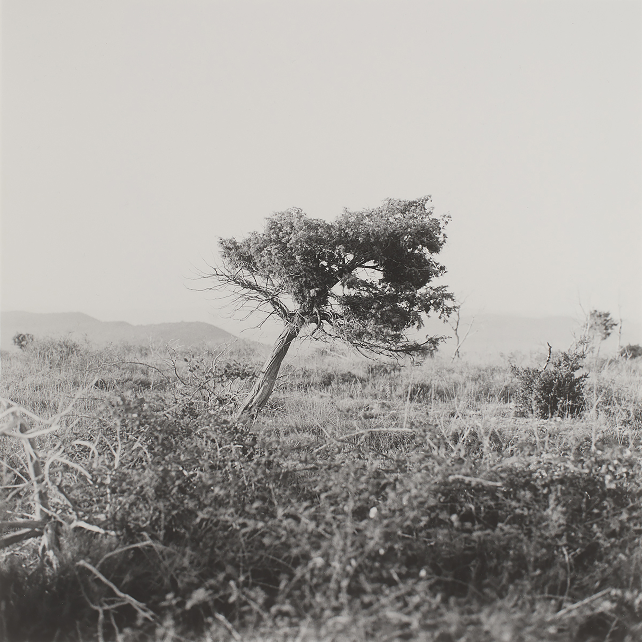 Arno Schidlowski, Der Sonne Mond #1, 2011-2013, 28 x 28 cm Silbergelatineabzug (Handabzug vom Künstler), © Arno Schidlowski | courtesy JO VAN DE LOO