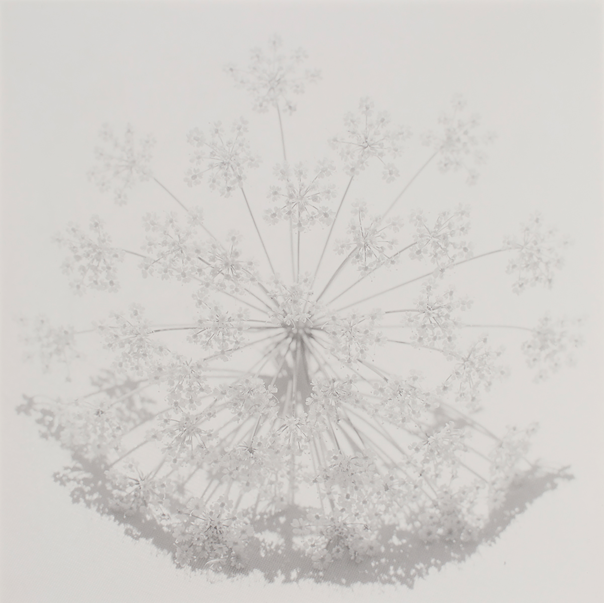 Arno Schidlowski, Der Sonne Mond #30, 2011-2013, 28 x 28 cm Silbergelatineabzug (Handabzug vom Künstler), © Arno Schidlowski | courtesy JO VAN DE LOO 