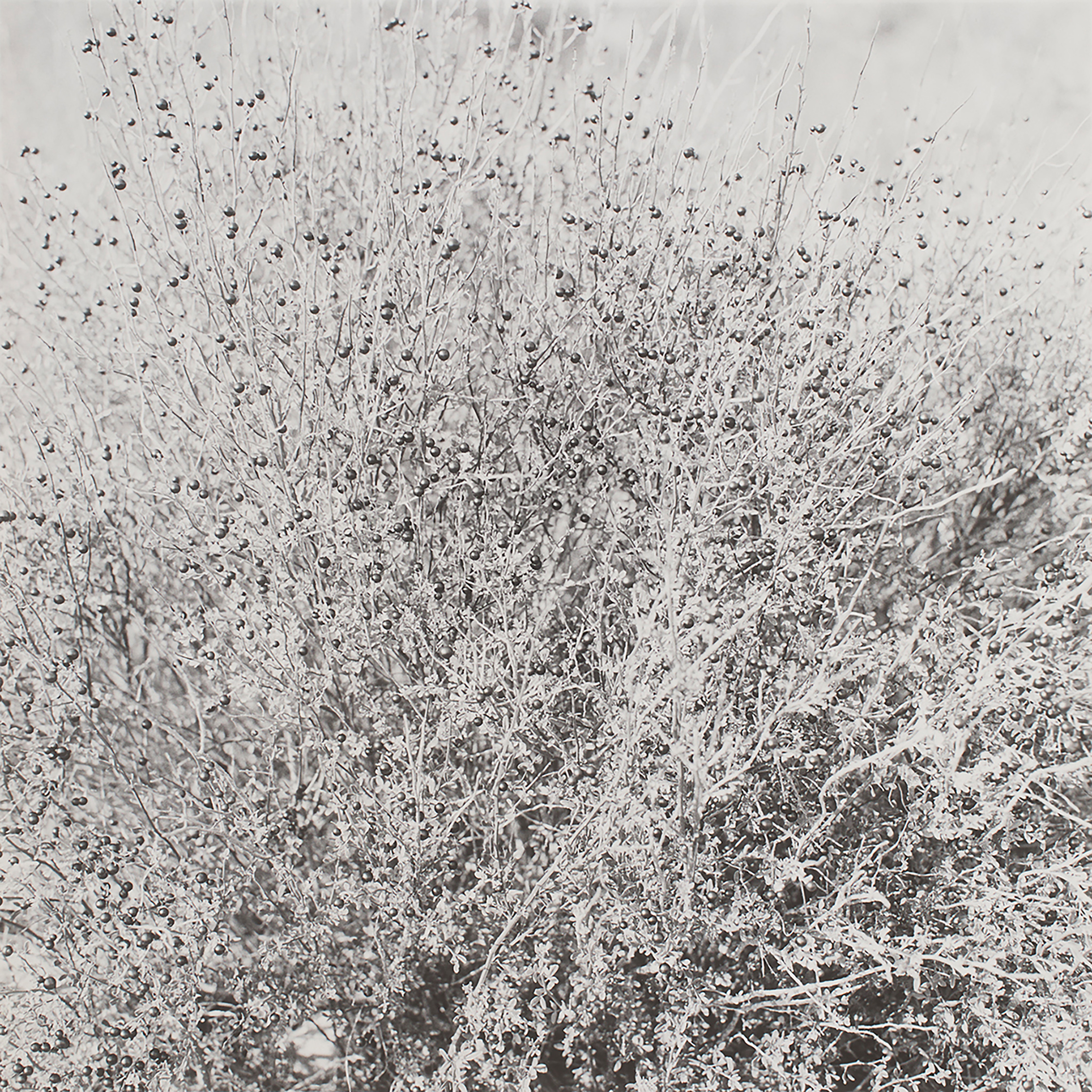 Arno Schidlowski, Der Sonne Mond #21, 2011-2013, 28 x 28 cm Silbergelatineabzug (Handabzug vom Künstler), © Arno Schidlowski | courtesy JO VAN DE LOO 