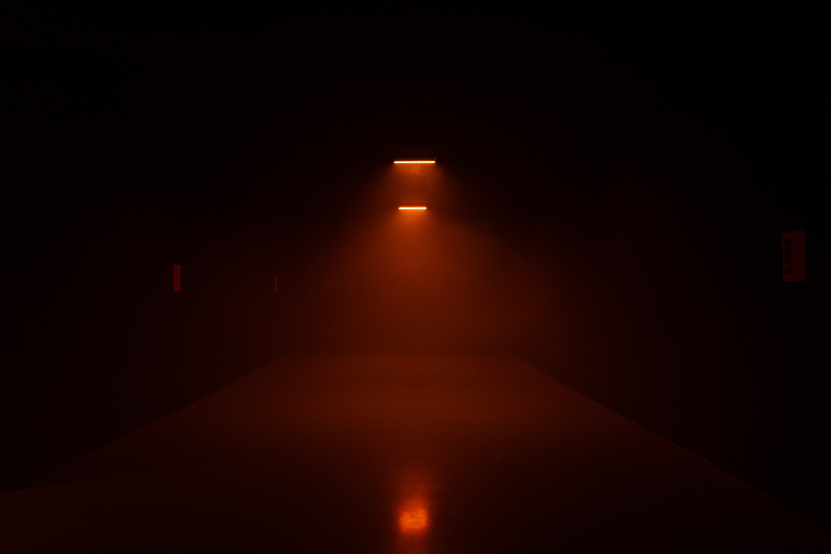 P. Staff, Hormonal Fog (Kunstverein), 2025, exhibtion view Bonner Kunstverein, Photo: Niklas Goldbach