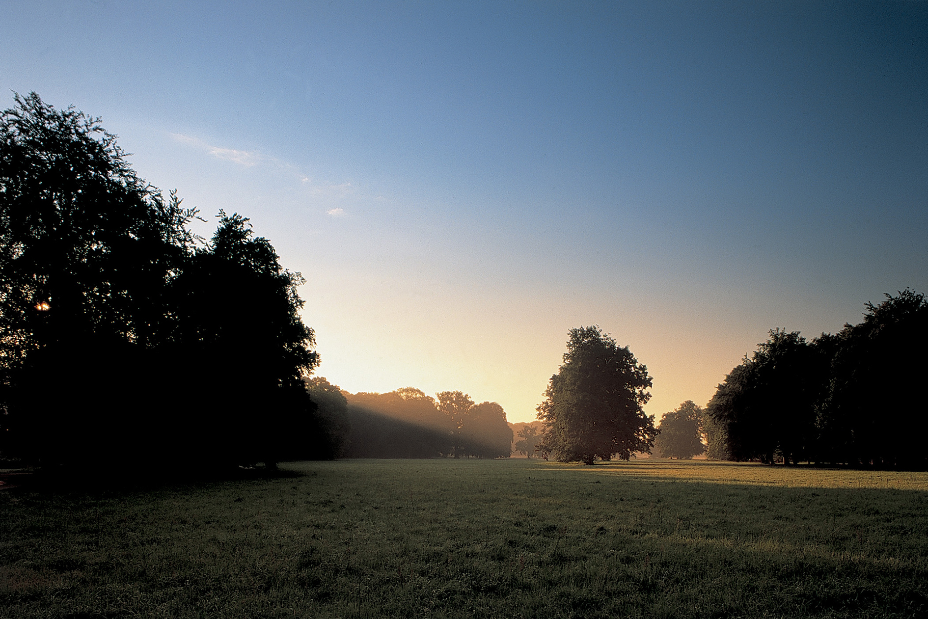 Außenansicht vom Neuhardenberger Schlosspark, Foto: Toma Babovic 
