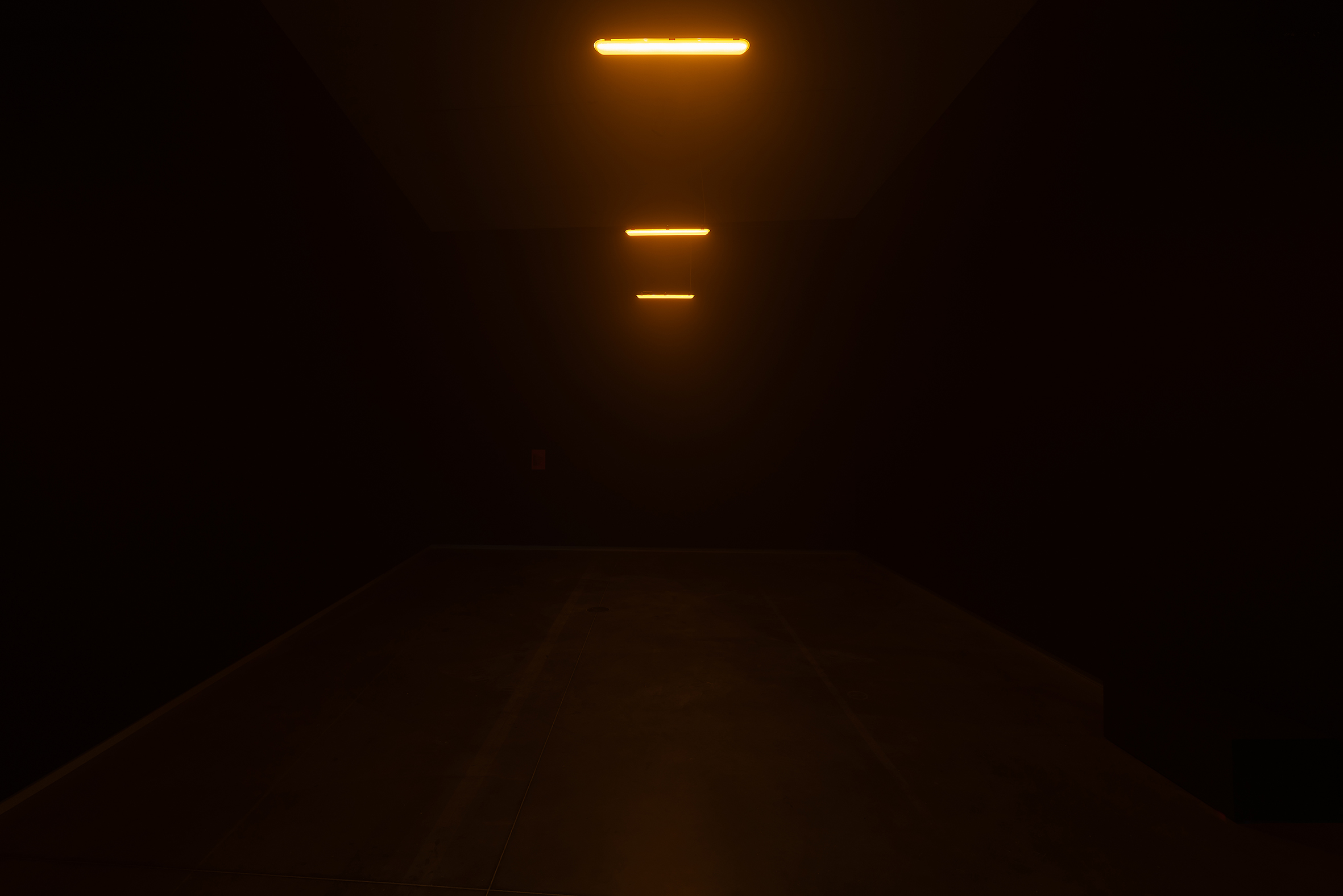 Candice Lin and P. Staff, Hormonal Fog (Astrup Fearnley), 2026 Exhibition view, Grammars of Light, © Astrup Fearnley Museet, 2025 Photo: Christian Øen