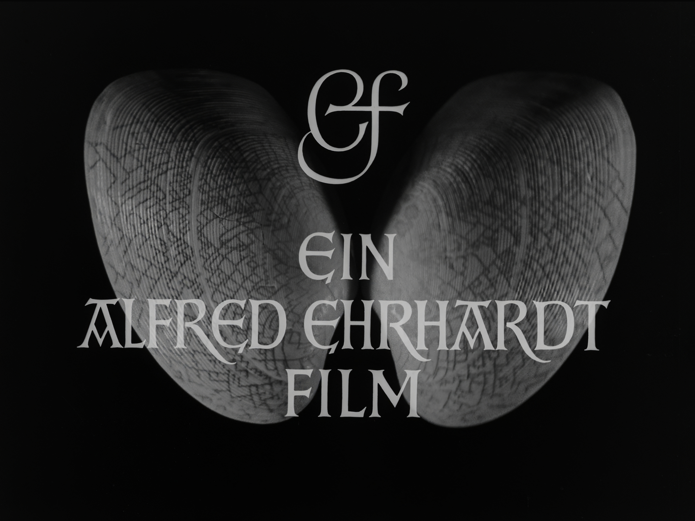 Alfred Ehrhardt, Filmstill aus dem Film Tanz der Muscheln, 1955/59, © Alfred Ehrhardt Stiftung [Werknummer AES: FILM-20B // Herkunftsnachweis: Bundesarchiv, Tanz der Muscheln, Film 8889]