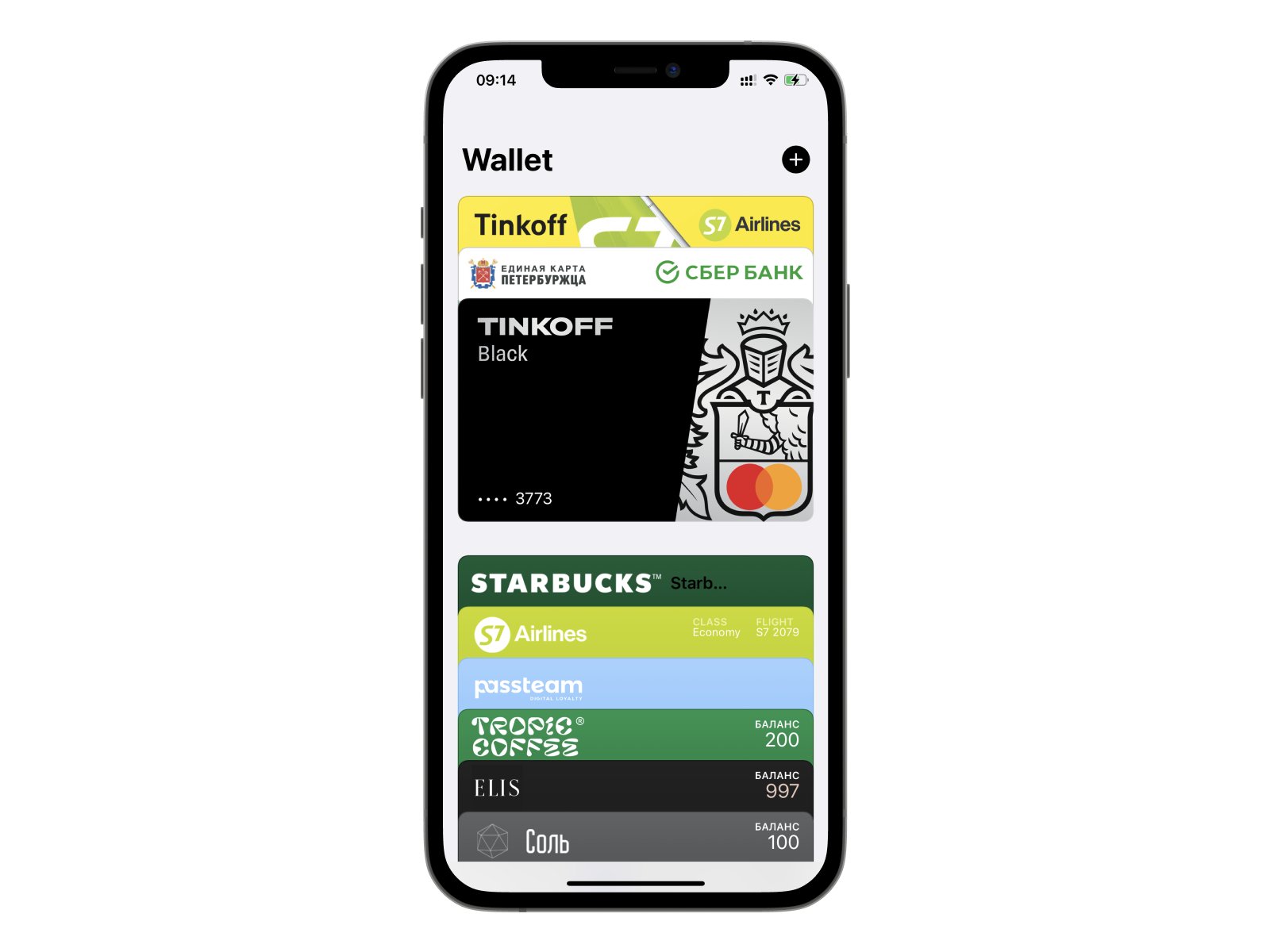 Apple Wallet: что это и как использовать на айфоне | платформа  автоматизации маркетинга Passteam