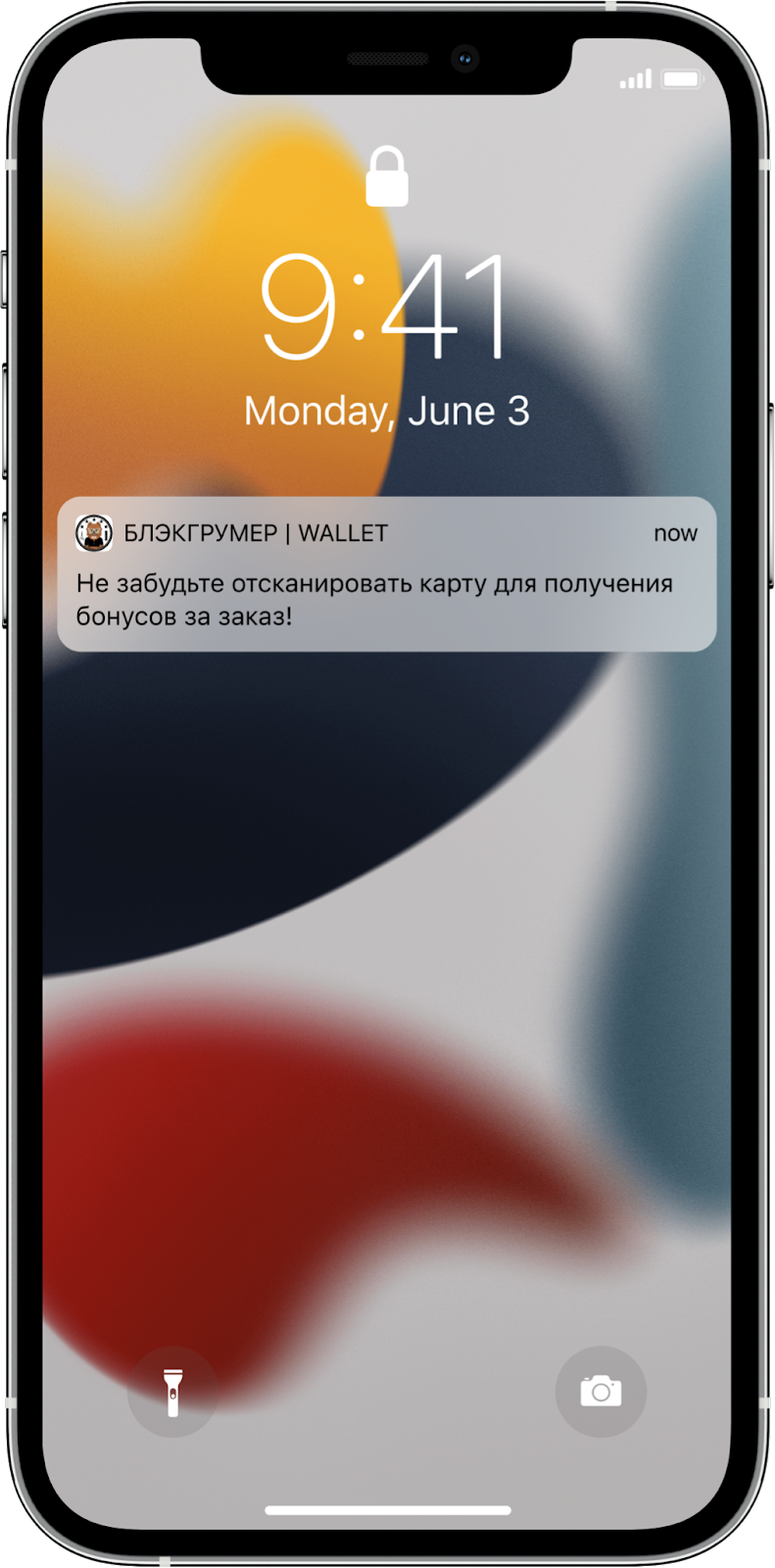 Apple Wallet: что это и как использовать на айфоне | платформа  автоматизации маркетинга Passteam