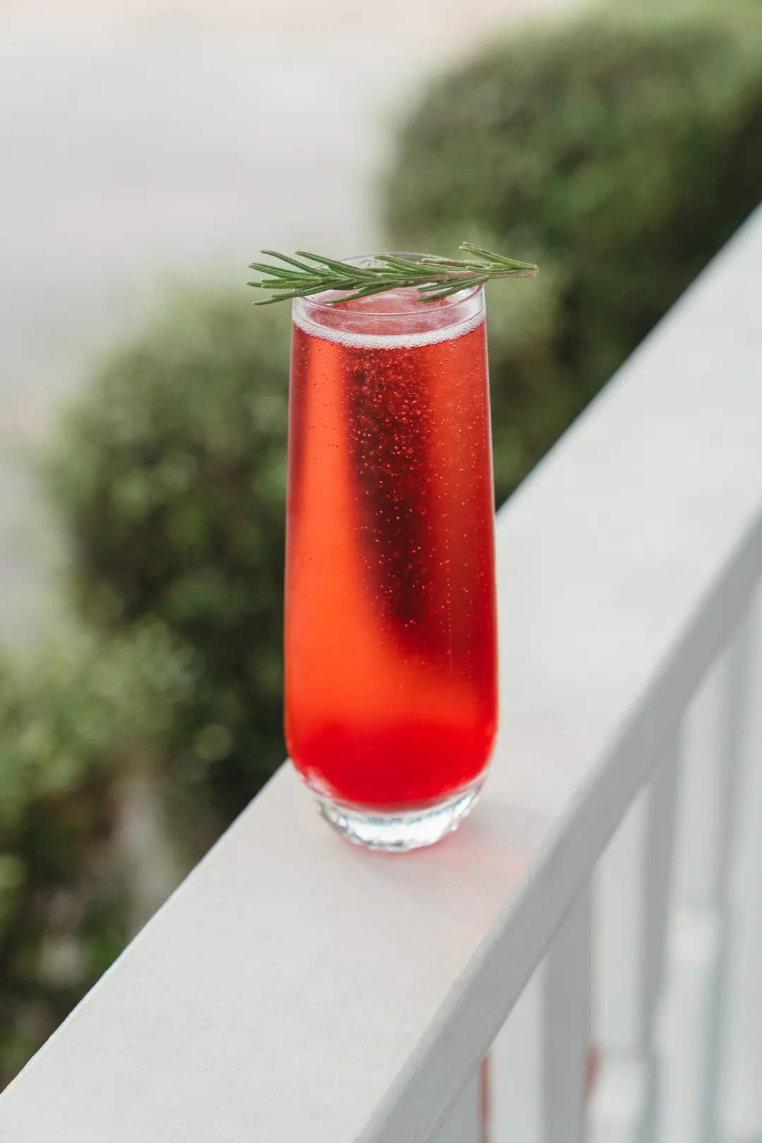 Cranberry mimosa garnished with a rosemary sprig