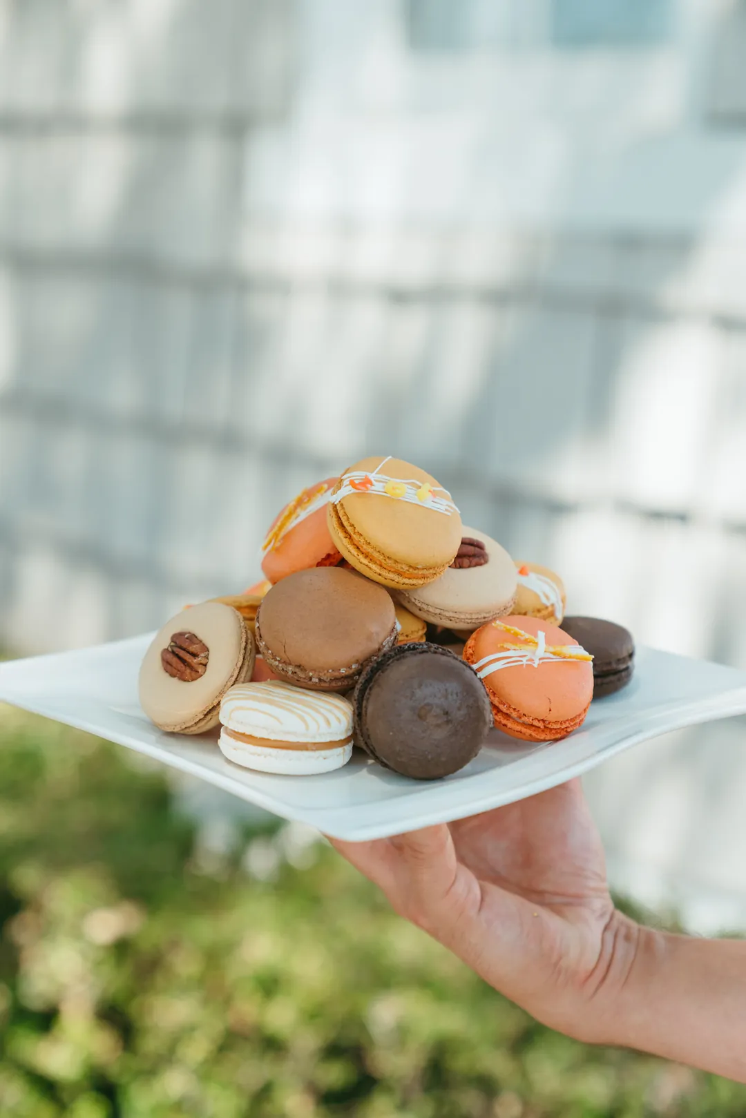 Hand holding a plate piled with assorted macarons