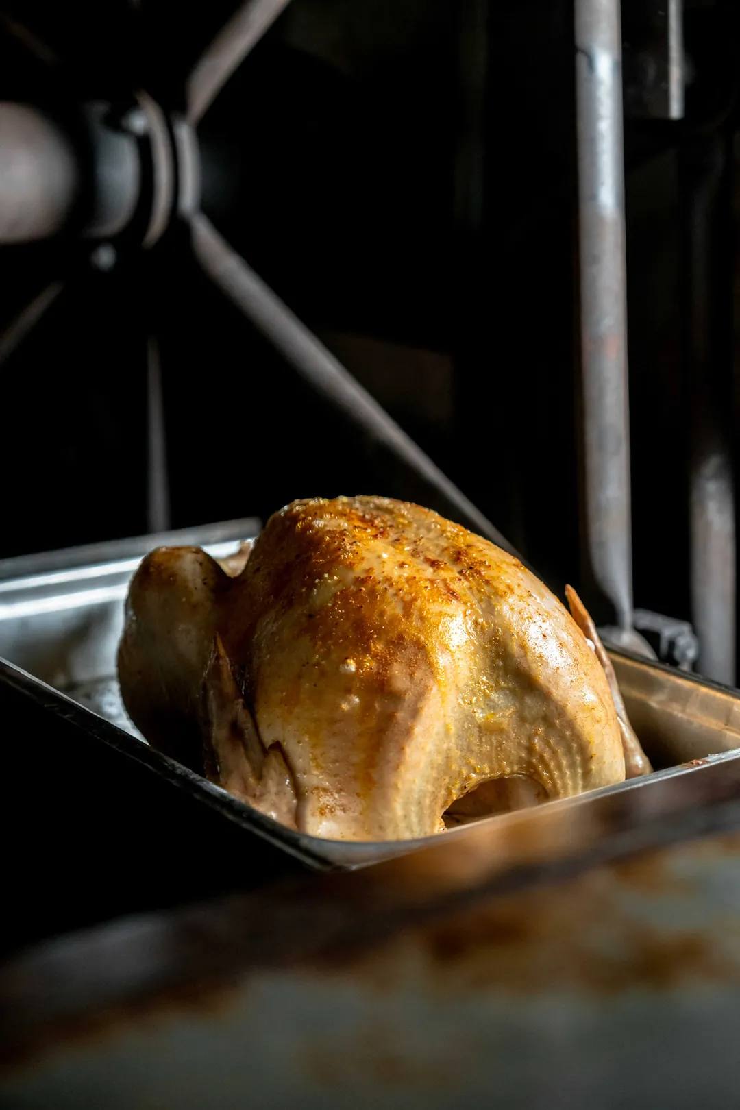 Whole roasted turkey in a metal roasting pan