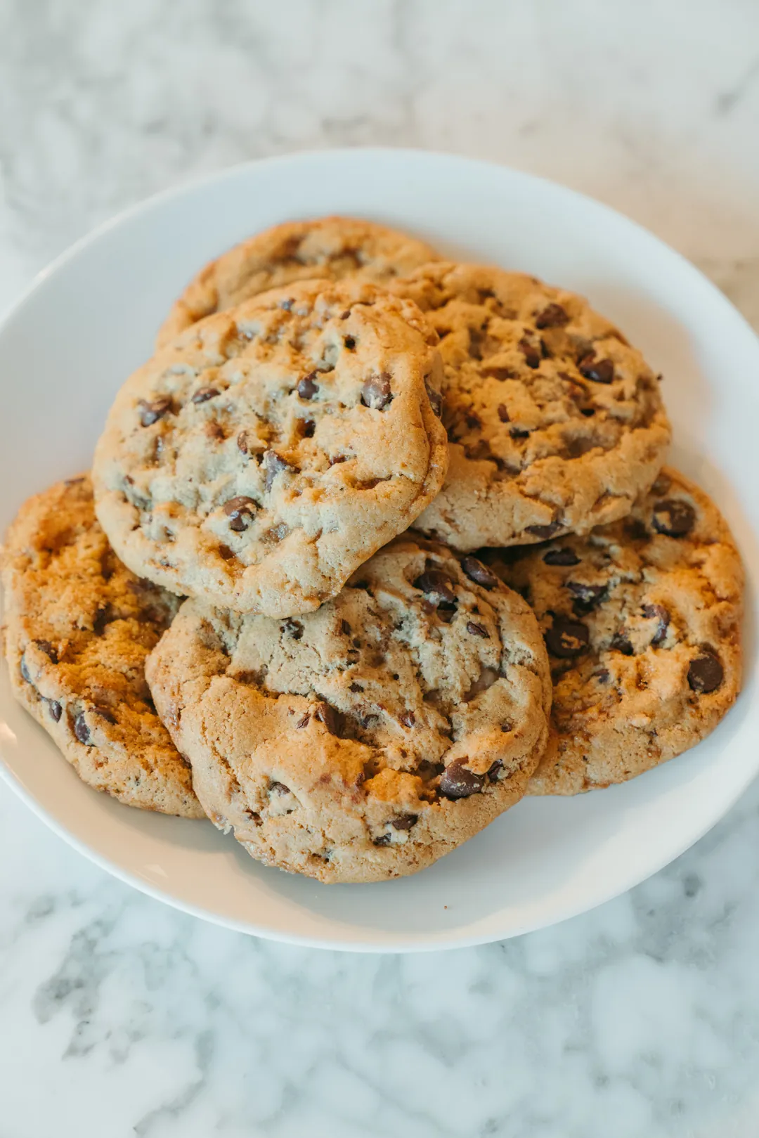 Plate of chocolate chip cookies