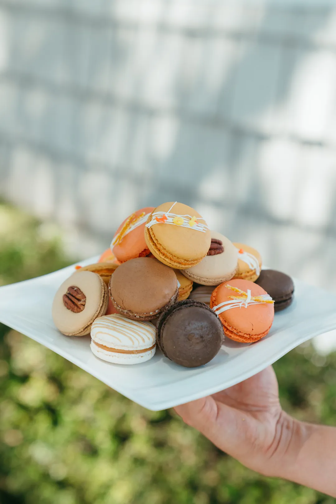 Hand holding a plate of fall macarons outdoors