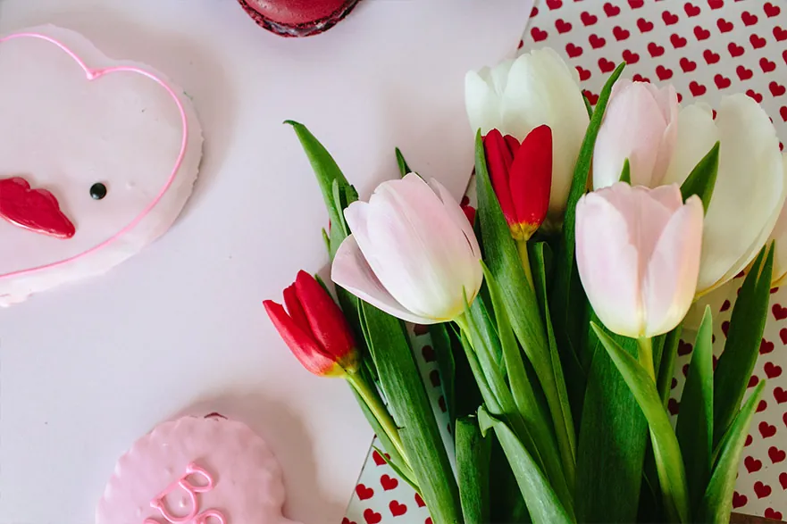 Heart Lips cookies, conversation cookies, and pink and white tulips
