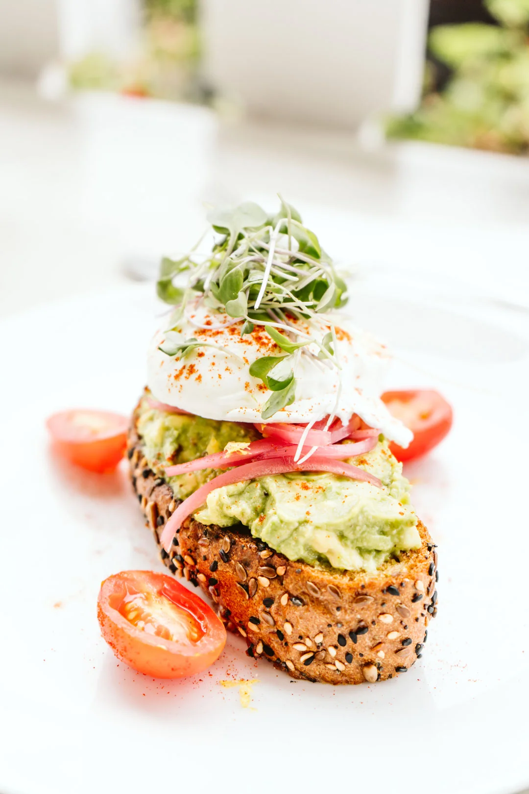 Avocado toast topped with fried egg and microgreens