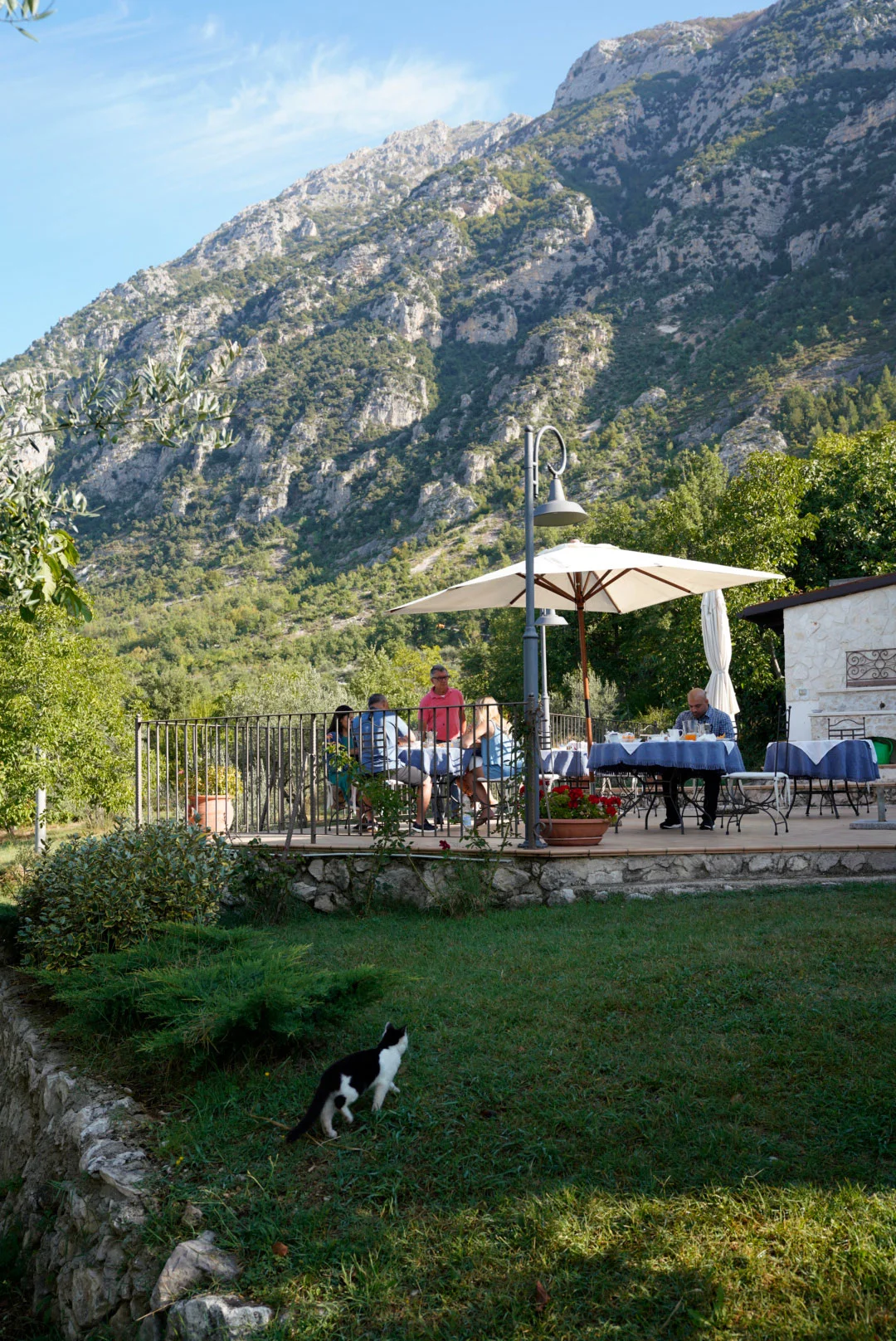 Garden patio beneath rocky mountains, with a cat in the foreground