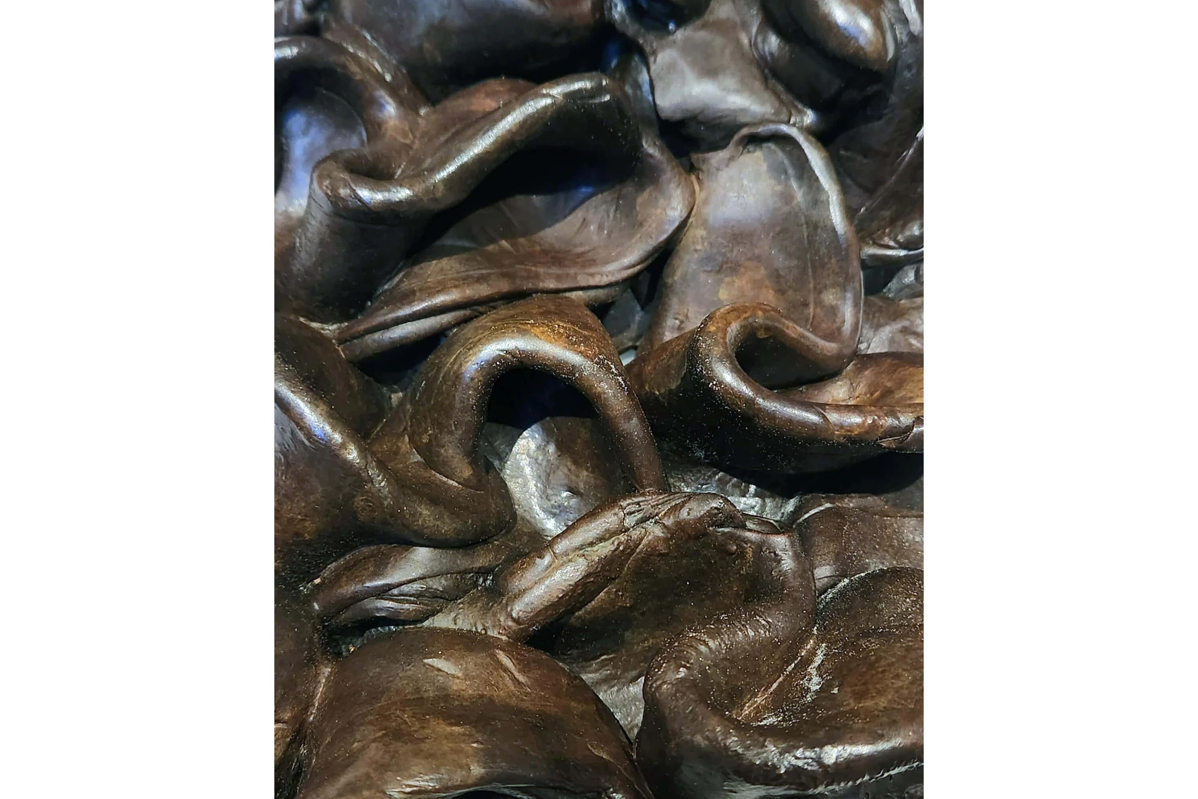 Immutable (Baroque), 2023