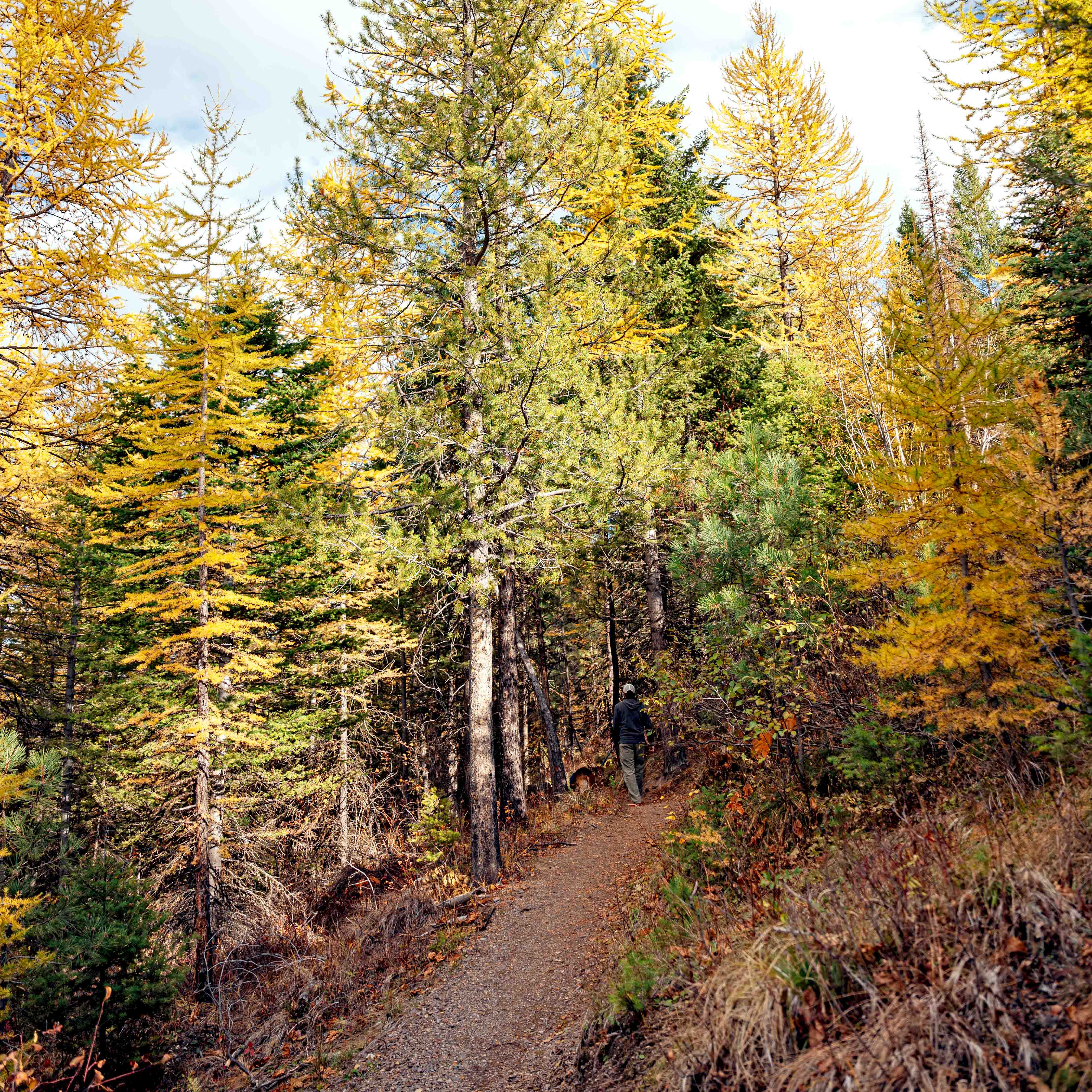 The view from Legacy Point on the Mount Dean Stone Community Forest.