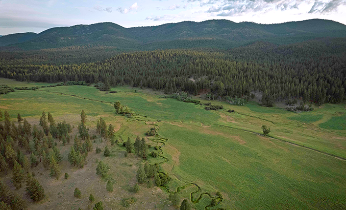 An aerial view of the diverse forest, meadow, and creekside habitat on the Case Ranch