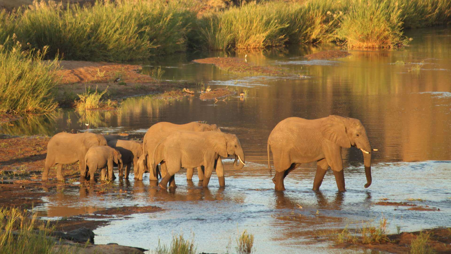 Südafrika Safari Landschaft