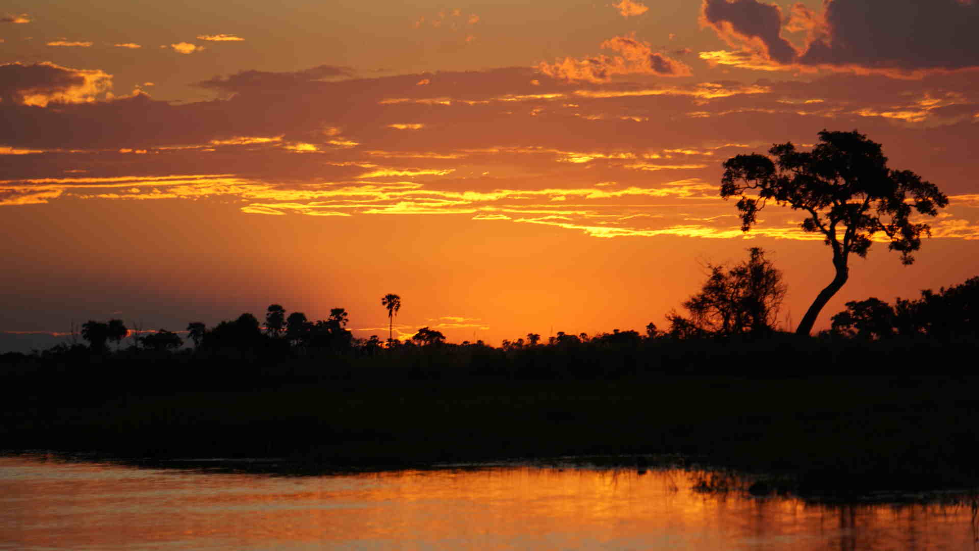 Sonnenuntergang im Okavango Delta