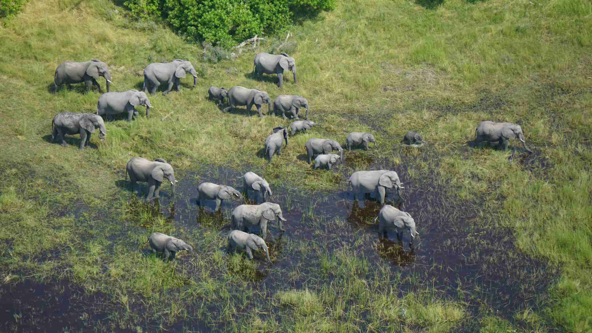 Botswana Baobabs & Okavango Delta
