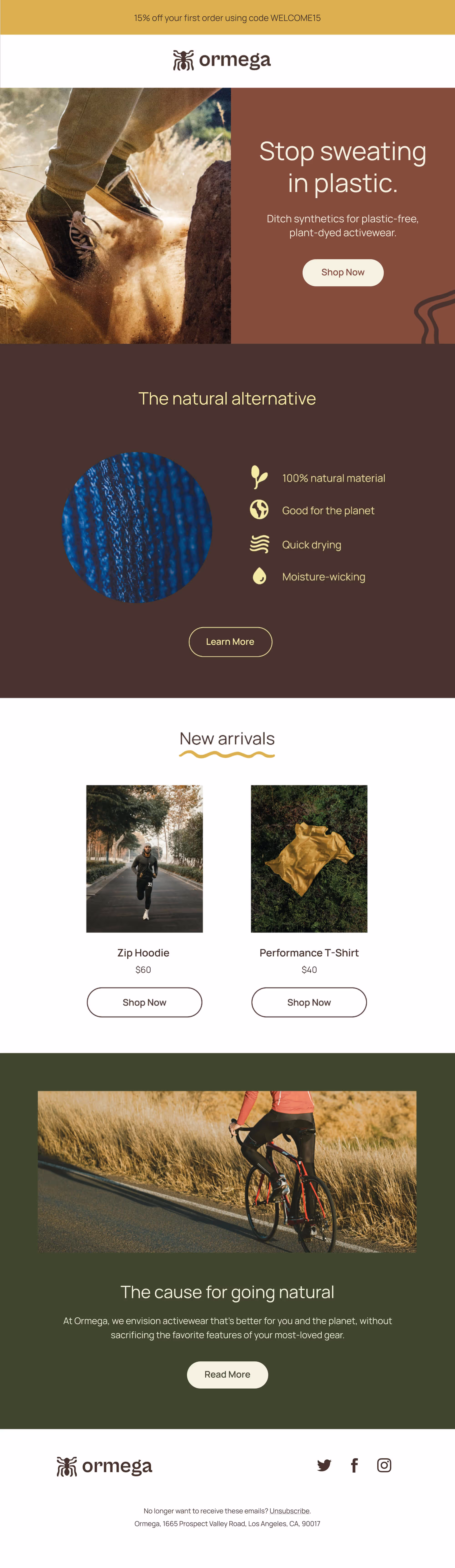 Ormega Email Newsletter