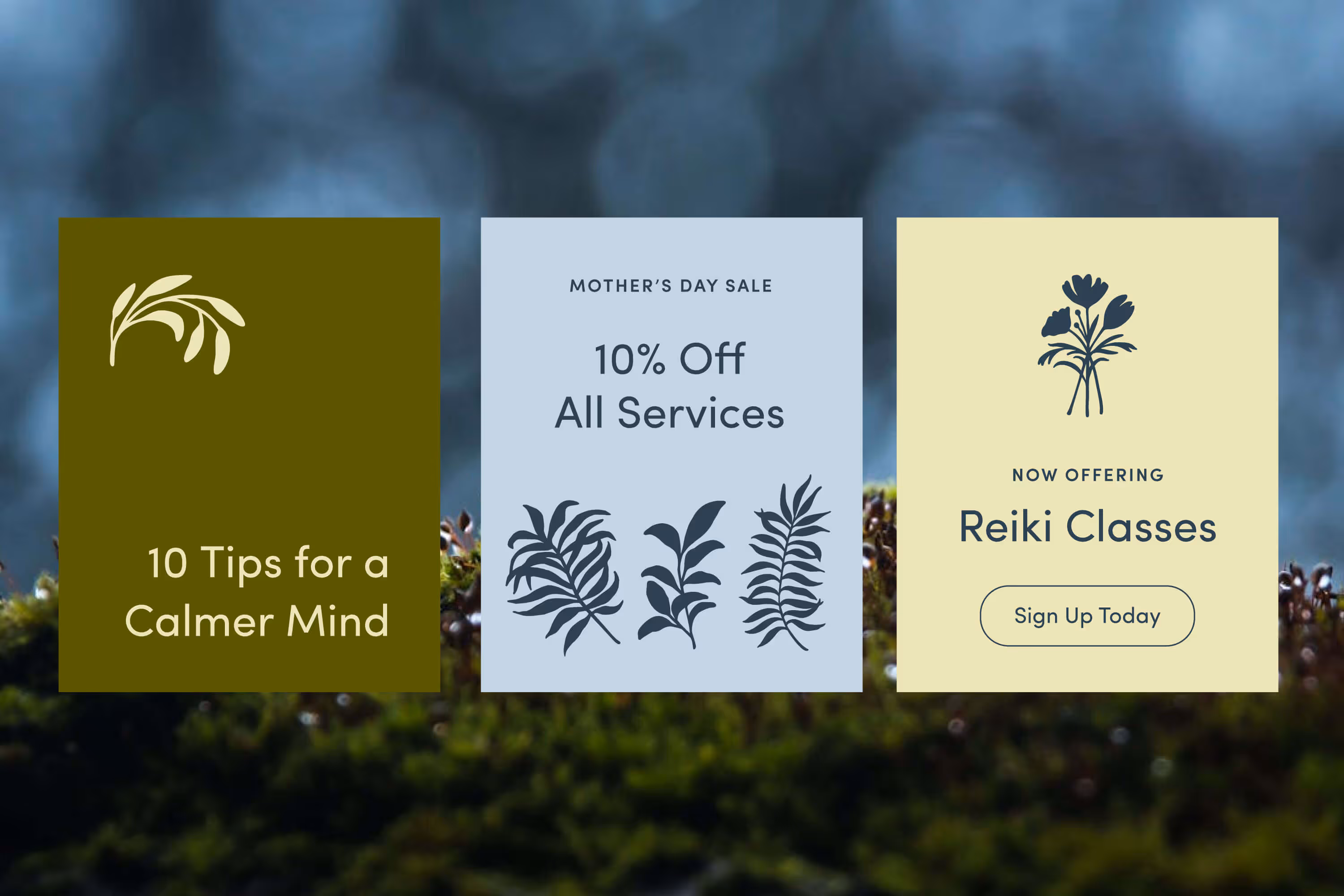 floral and foliage illustration set social media post examples