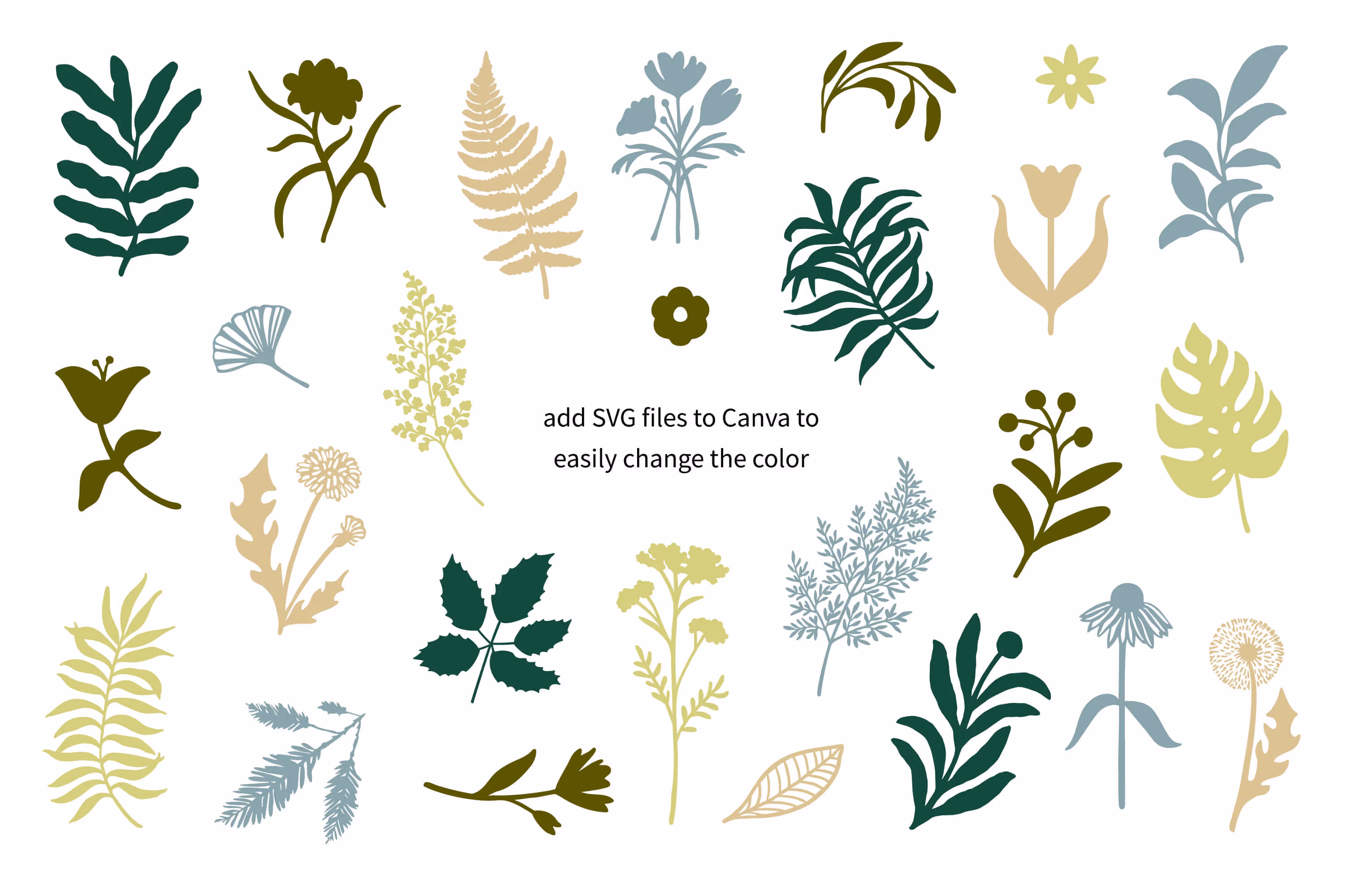floral and foliage illustration set