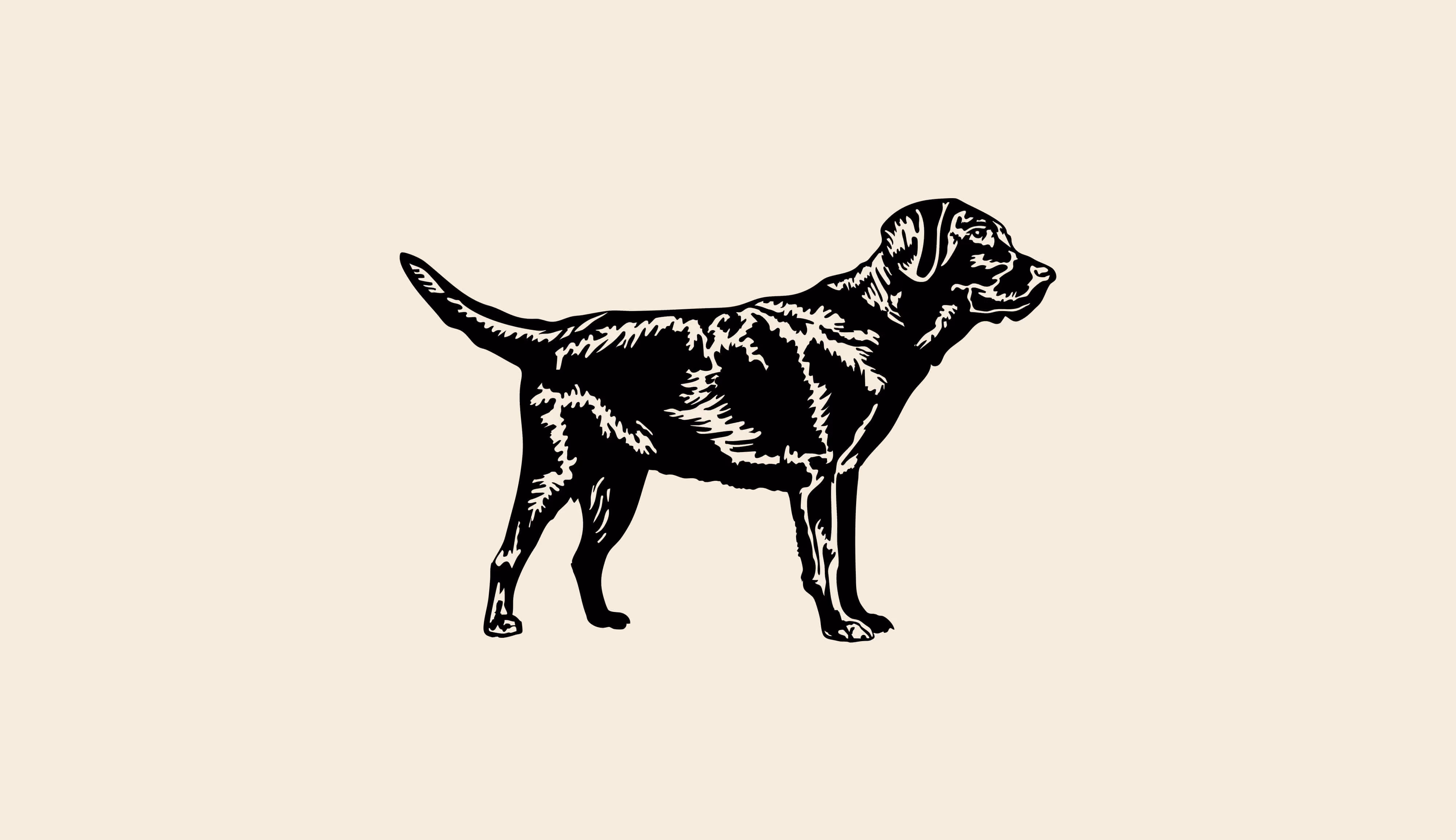 Rowan dog illustration secondary logo
