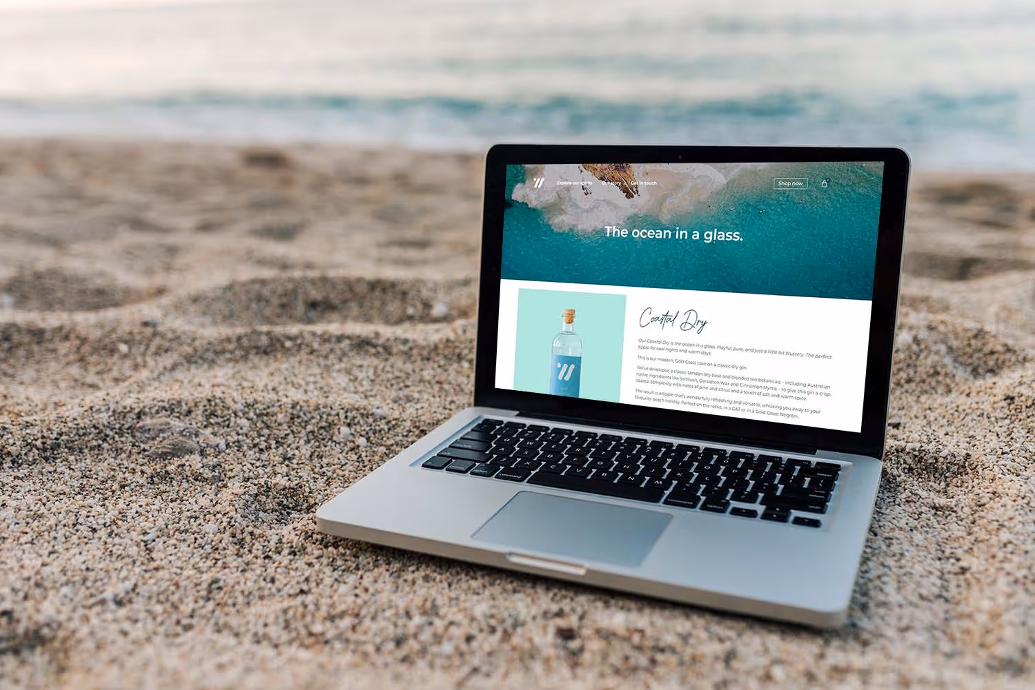 Barbi Larkins - E-commerce Website for Two Tales Gin Boutique Beverages