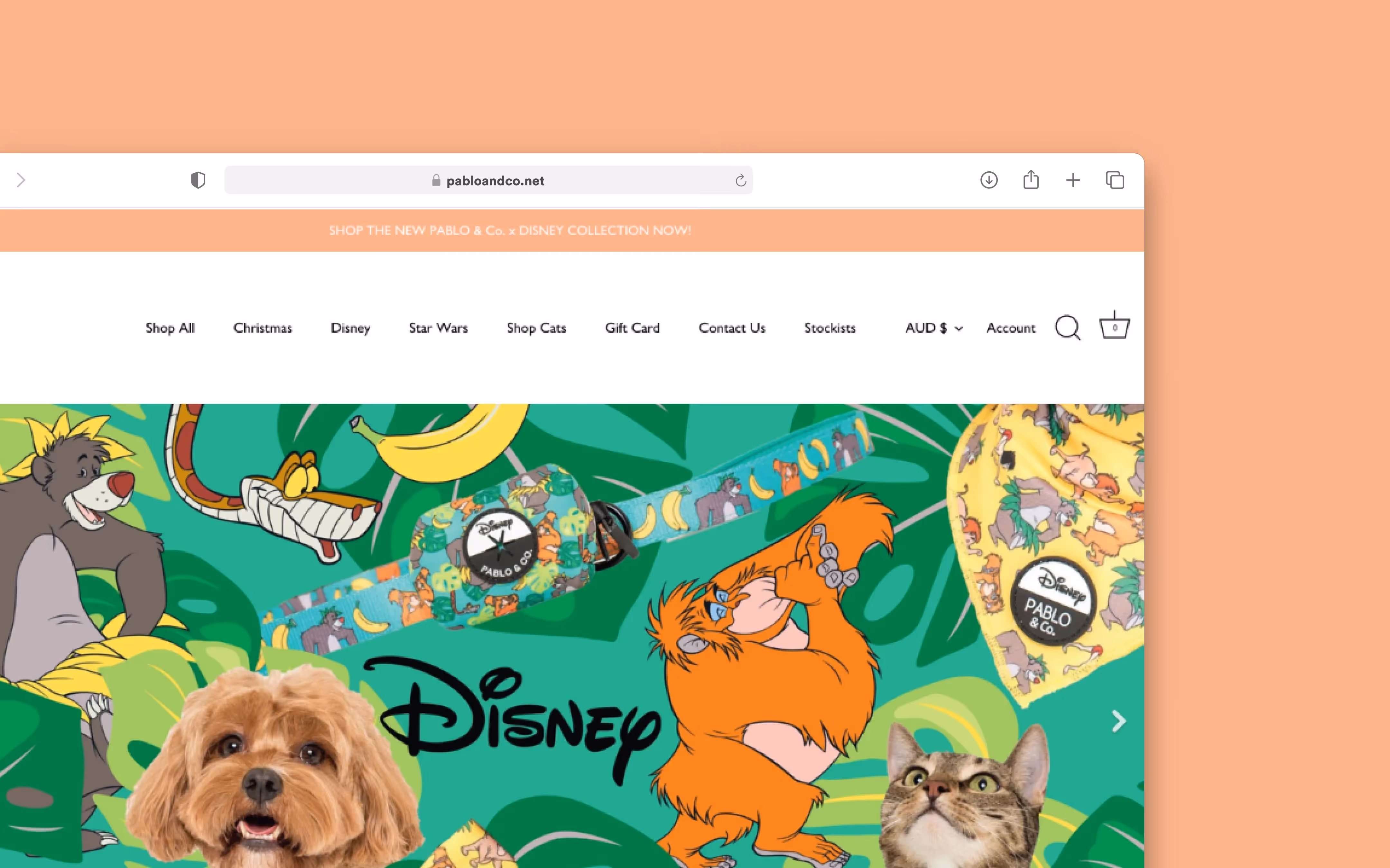 Samantha Thornton-Jones - Website Redesign & Shopify Enhancement for Pablo & Co.