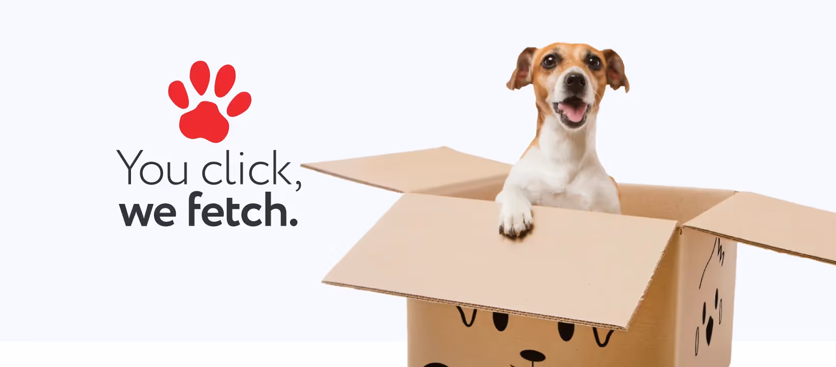 Roimata Wilkey - Facebook Ads Strategy for Pet.co.nz
