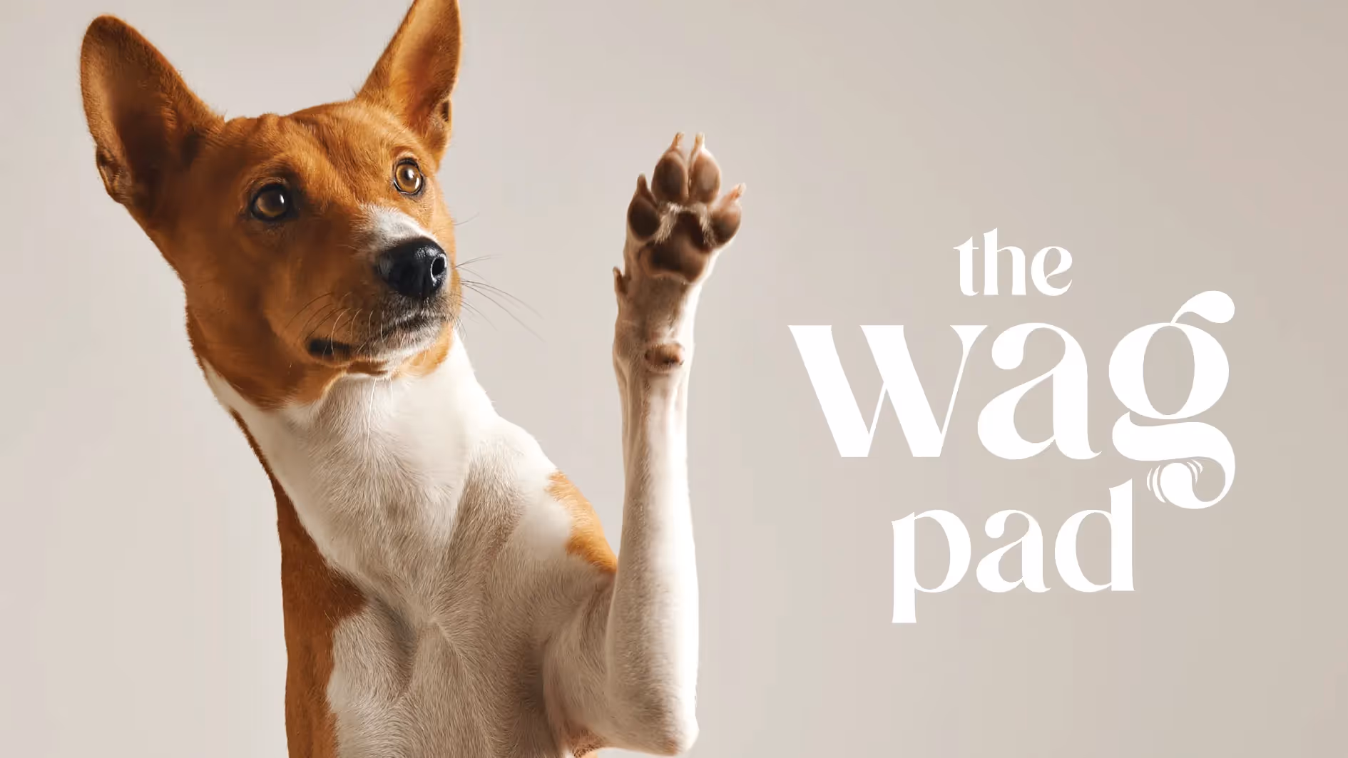 Kendal Fletcher - Branding & Product Design for The Wag Pad – Eco-Friendly Pet Solutions
