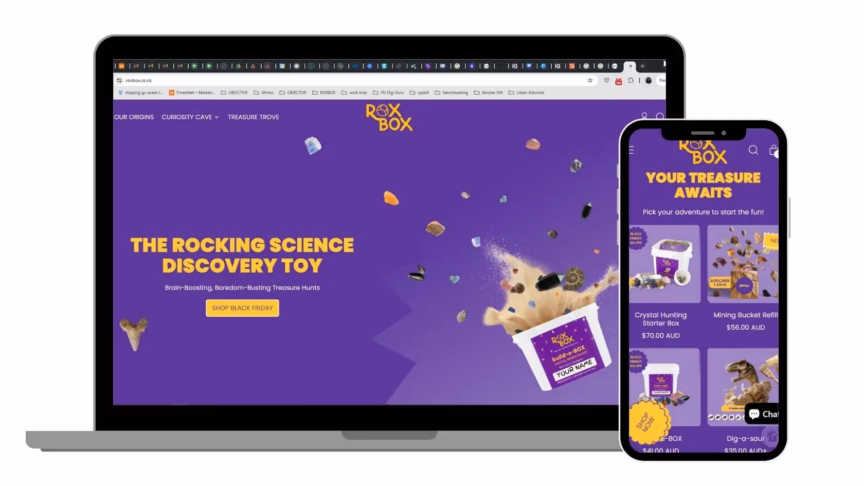 Fiona Nagy - End-to-End Brand Launch and E-commerce for ROXBOX Educational Toys